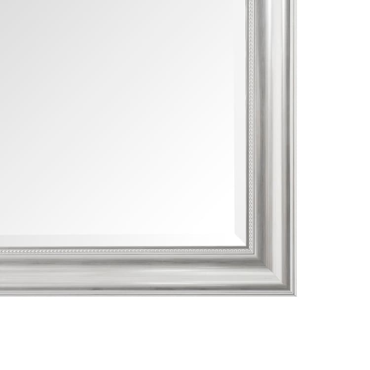 Brushed Nickel Full Size Body Mirror Standing Hanging / Leaning Against Wall, Large Rectangle Dressing Mirror for Bedroom