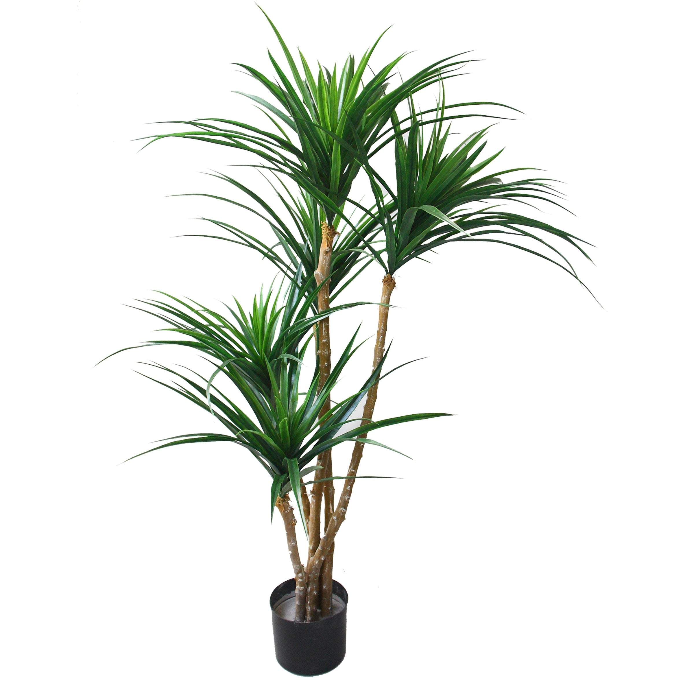 Tropical UV Resistant Yucana Artificial Tree with Rubber Leaves and Natural