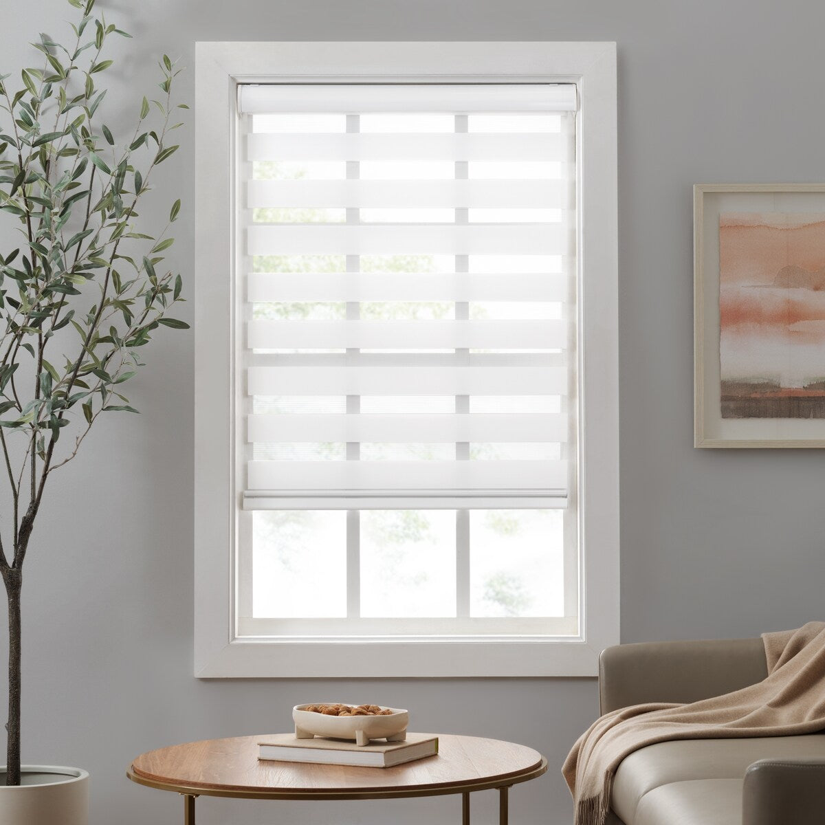 Eclipse Zebra Shades, Cordless Roller Shades, Light Filtering Window Shades