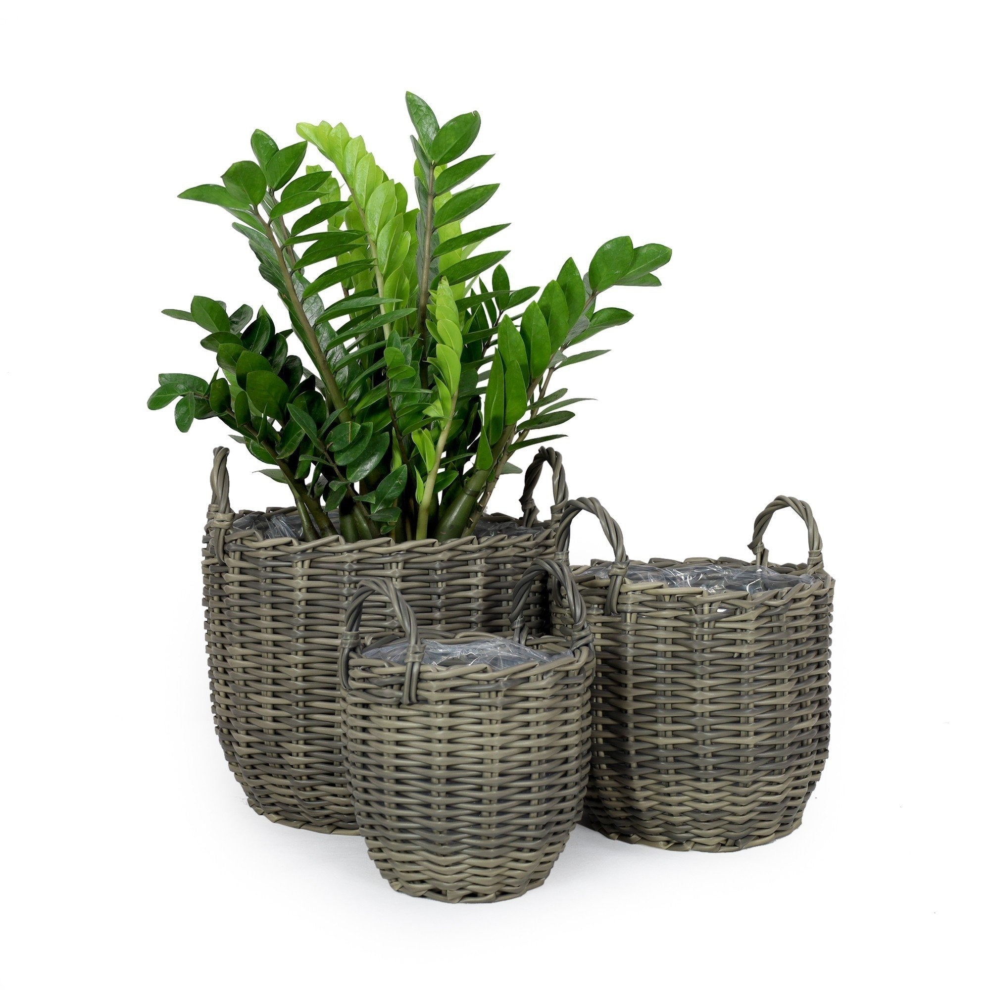 DTY Signature 3-Pack Wicker Multi-purposes Basket with handle - Planter basket