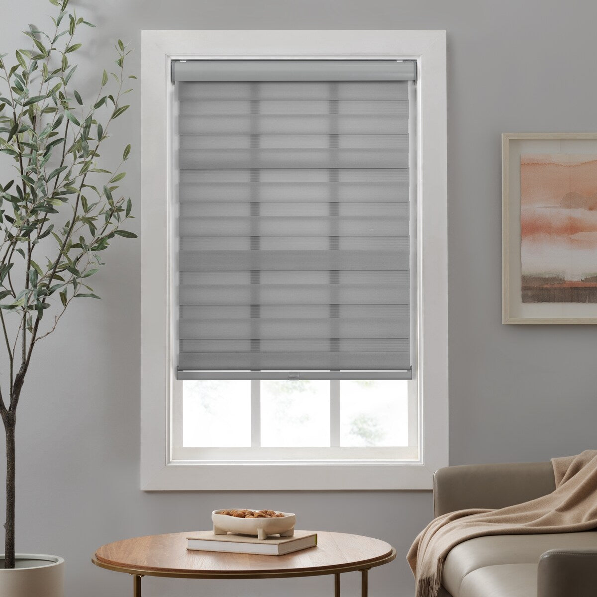 Eclipse Zebra Shades, Cordless Roller Shades, Light Filtering Window Shades