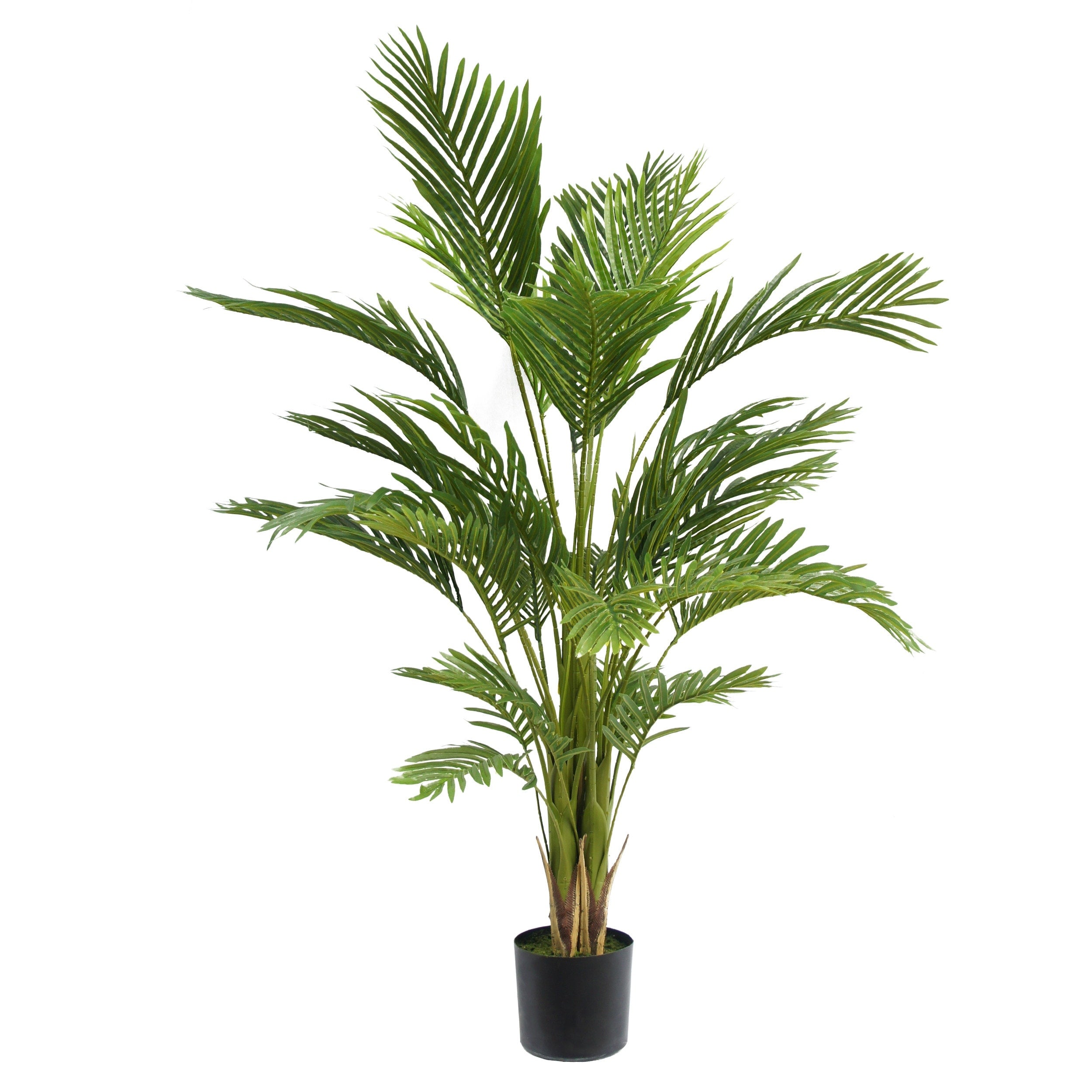 Malheur Artificial Tabletop Palm Tree by Christopher Knight Home