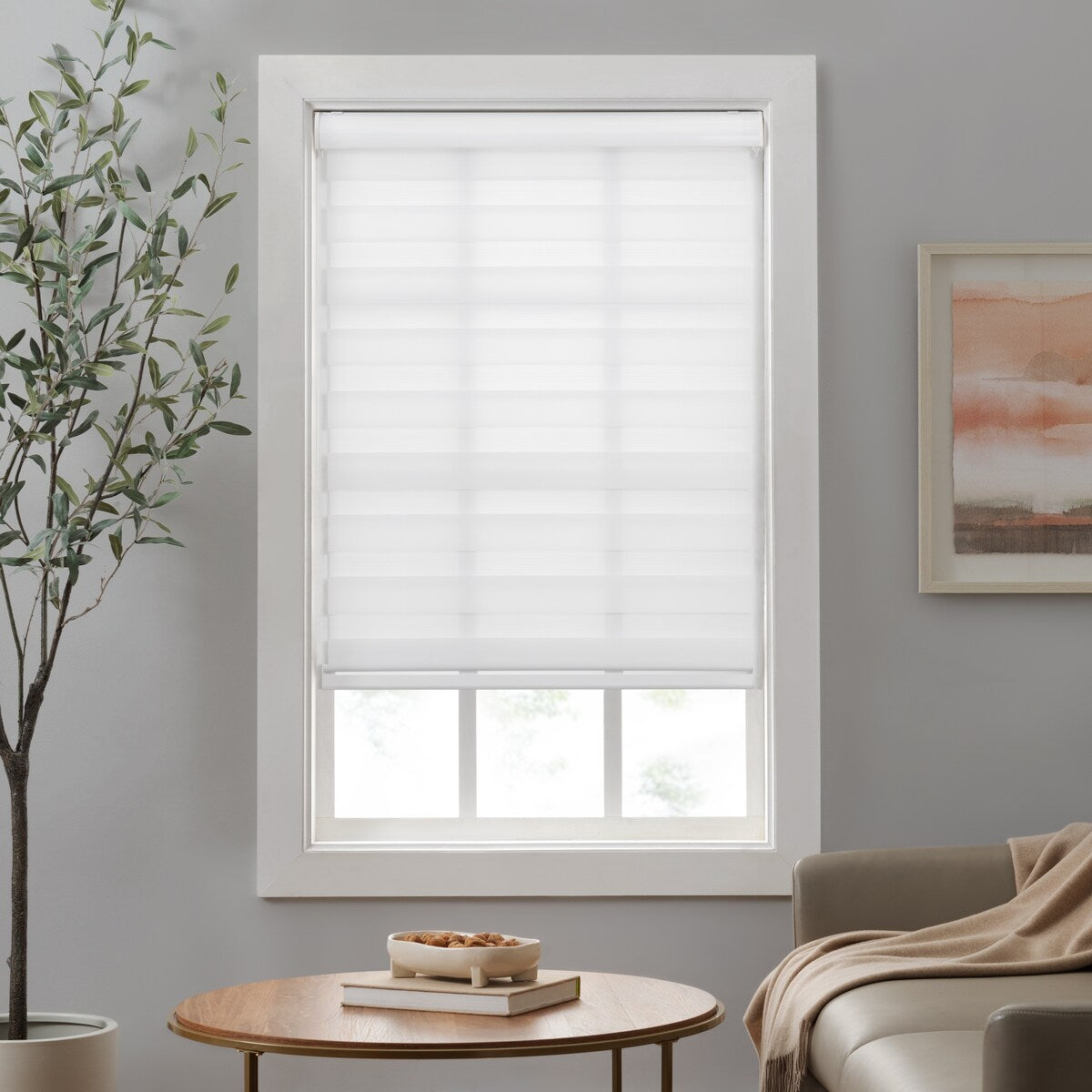 Eclipse Zebra Shades, Cordless Roller Shades, Light Filtering Window Shades