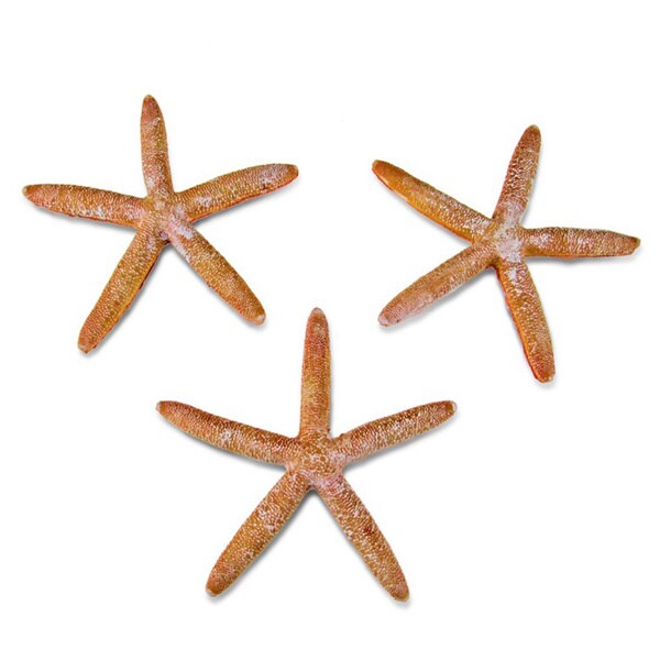 Puzzled Inc. Orange Resin Starfish Nautical Decor