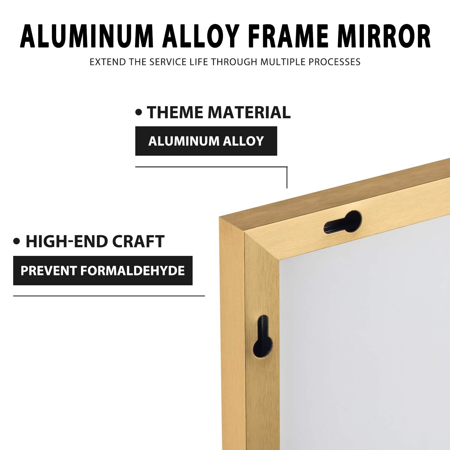 Aluminum Alloy Full Length Floor Mirror