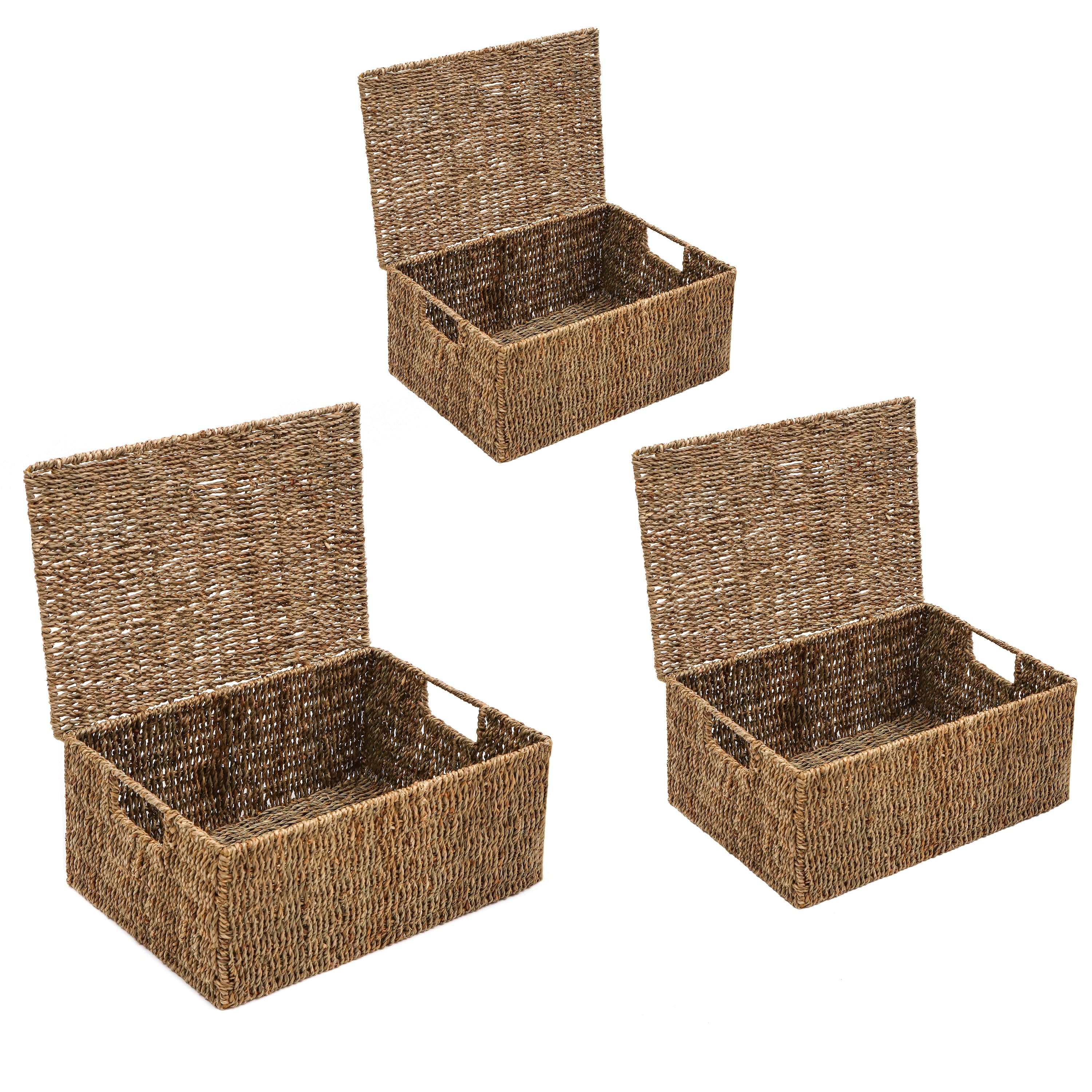 Trademark Innovations Set of 3 Rectangular Seagrass Baskets with Lids (Small)