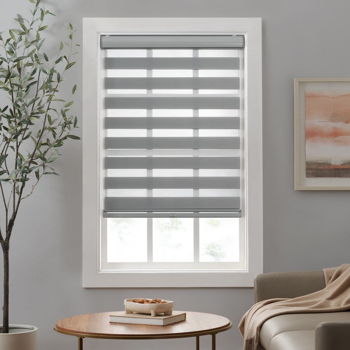 Eclipse Zebra Shades, Cordless Roller Shades, Light Filtering Window Shades