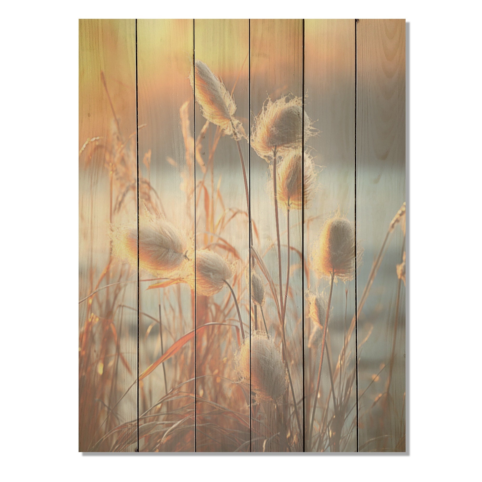 Designart Beachgrass Sunset Nature Herbs I Herbs Wood Wall Decor - Traditional Beige Wood Panel On Natural Pine Wood