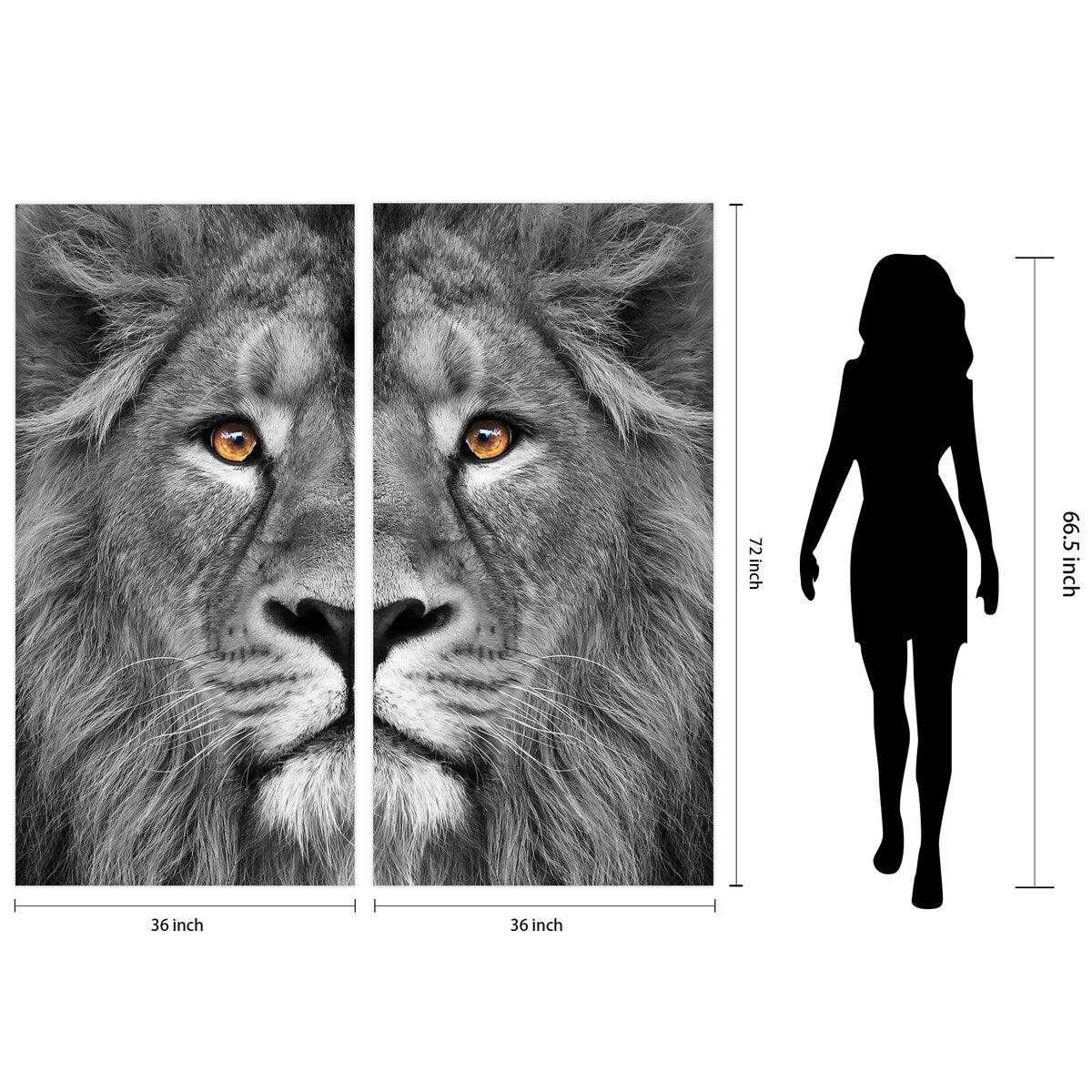 King of the Jungle AB Frameless Free Floating Tempered Glass Panel Graphic Wall Art