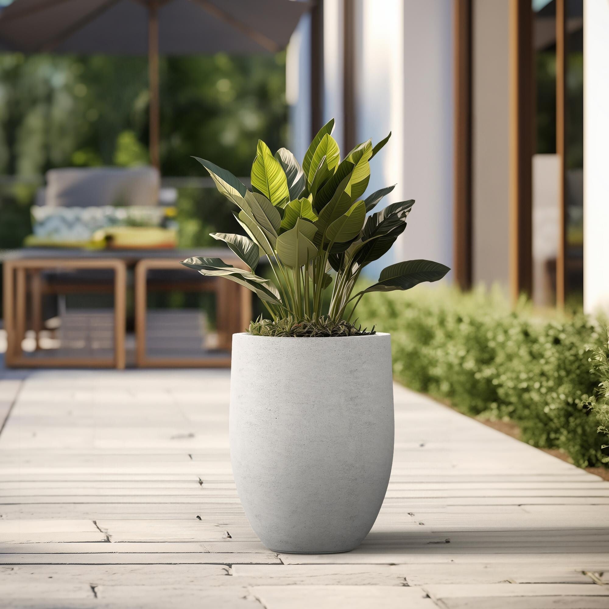 Tall Concrete Round Plant Pots / Large Indoor and Outdoor flower Planters