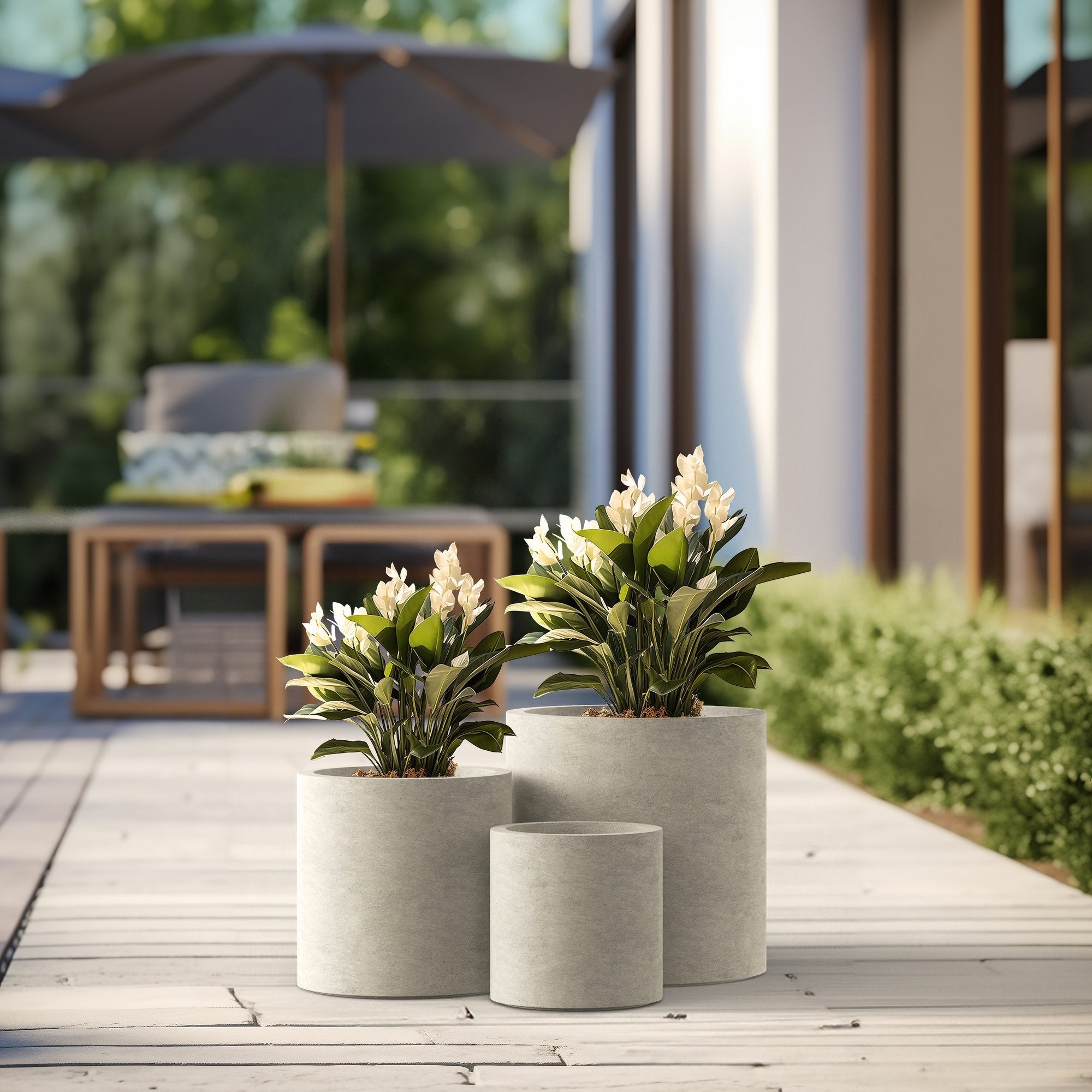 Tall Concrete Round Plant Pots / Large Indoor and Outdoor flower Planters