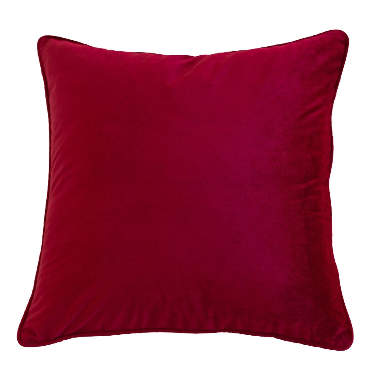 Elisa Velvet 20 Square Decorative Throw Pillow 2PK