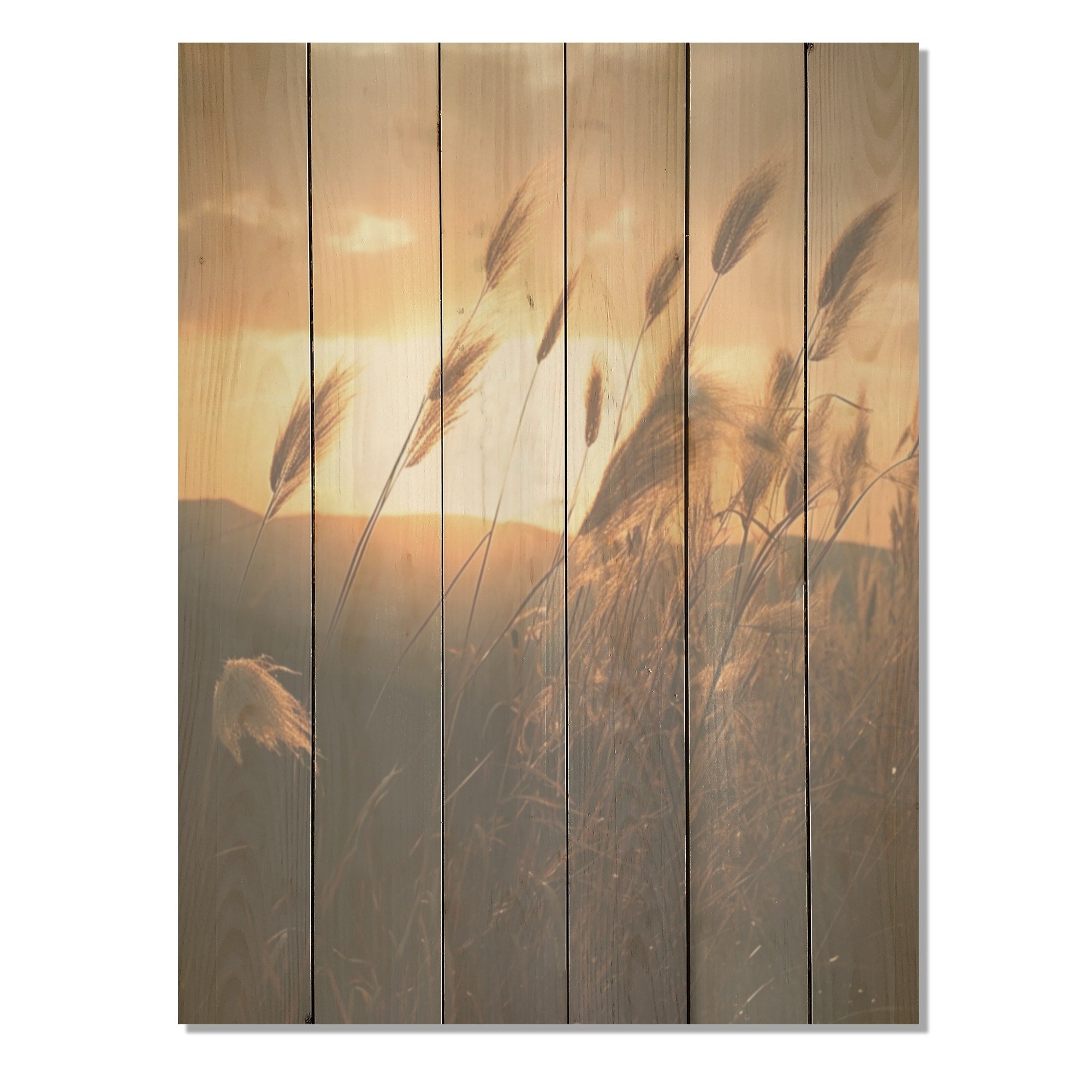 Designart Beachgrass In Motion At Sunset Herbs Wood Wall Decor - Traditional Beige Wood Panel On Natural Pine Wood