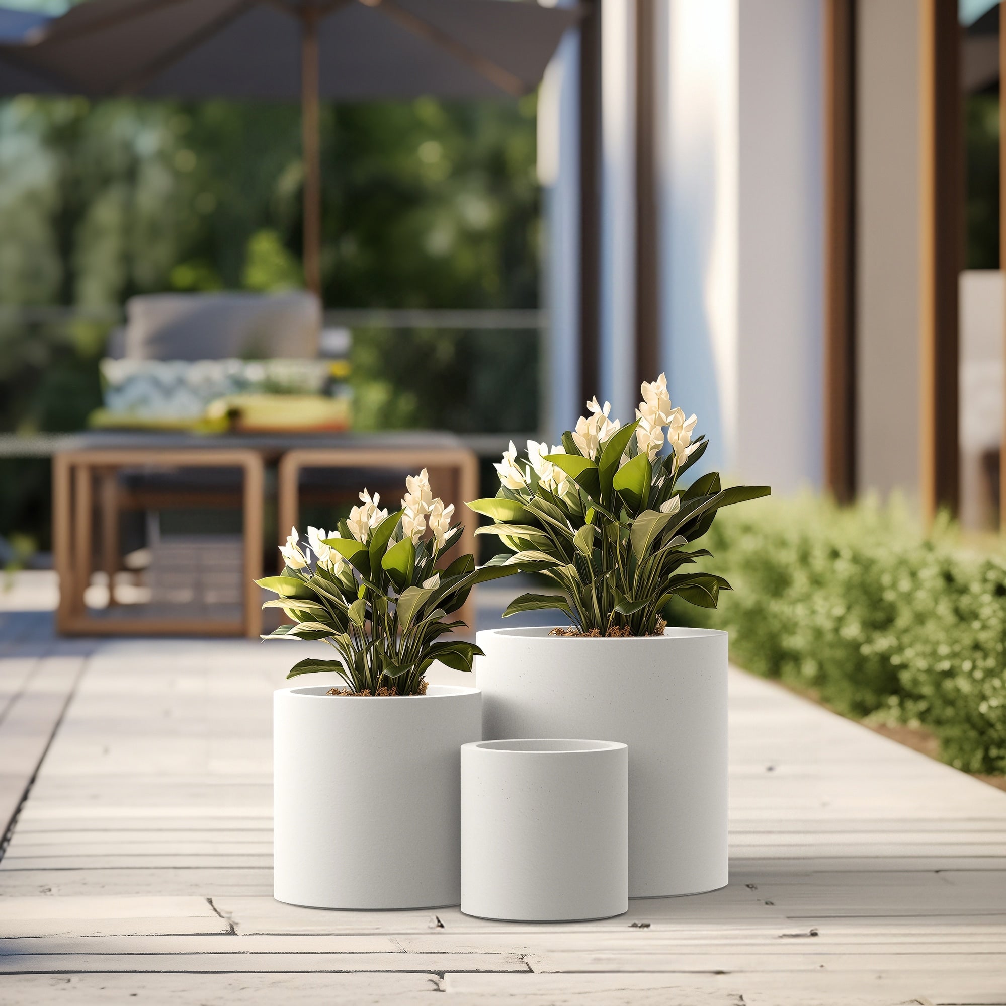 Tall Concrete Round Plant Pots / Large Indoor and Outdoor flower Planters