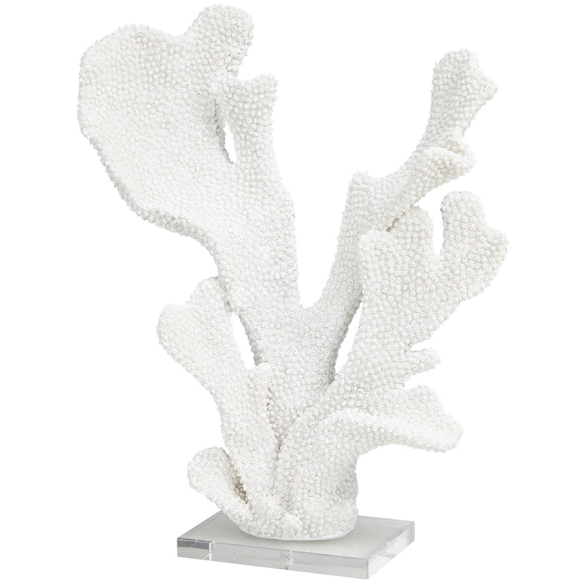 Polystone Coral Tall Textured Decorative Sculpture with Clear Acrylic Base - White - Roche River Decor