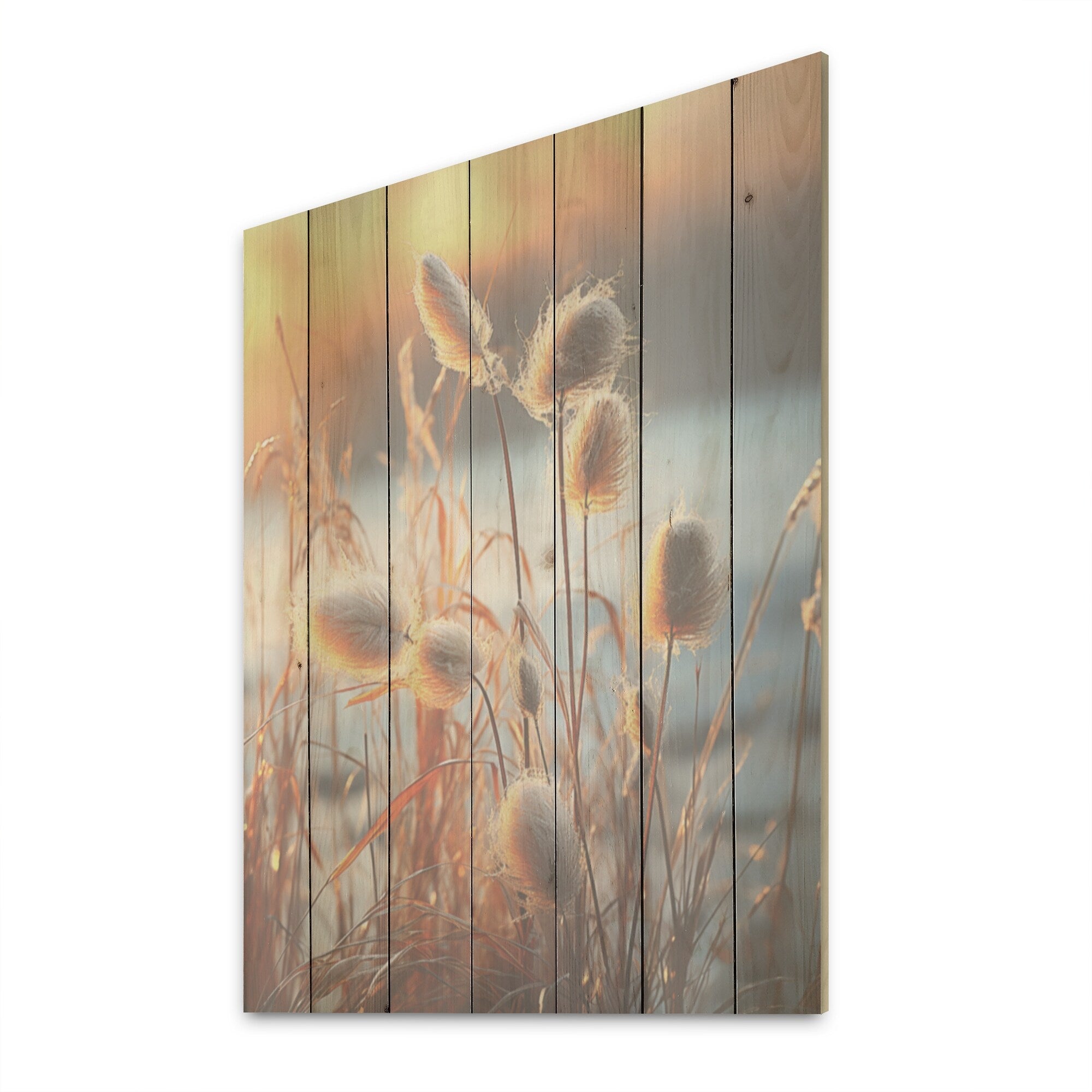 Designart Beachgrass Sunset Nature Herbs I Herbs Wood Wall Decor - Traditional Beige Wood Panel On Natural Pine Wood