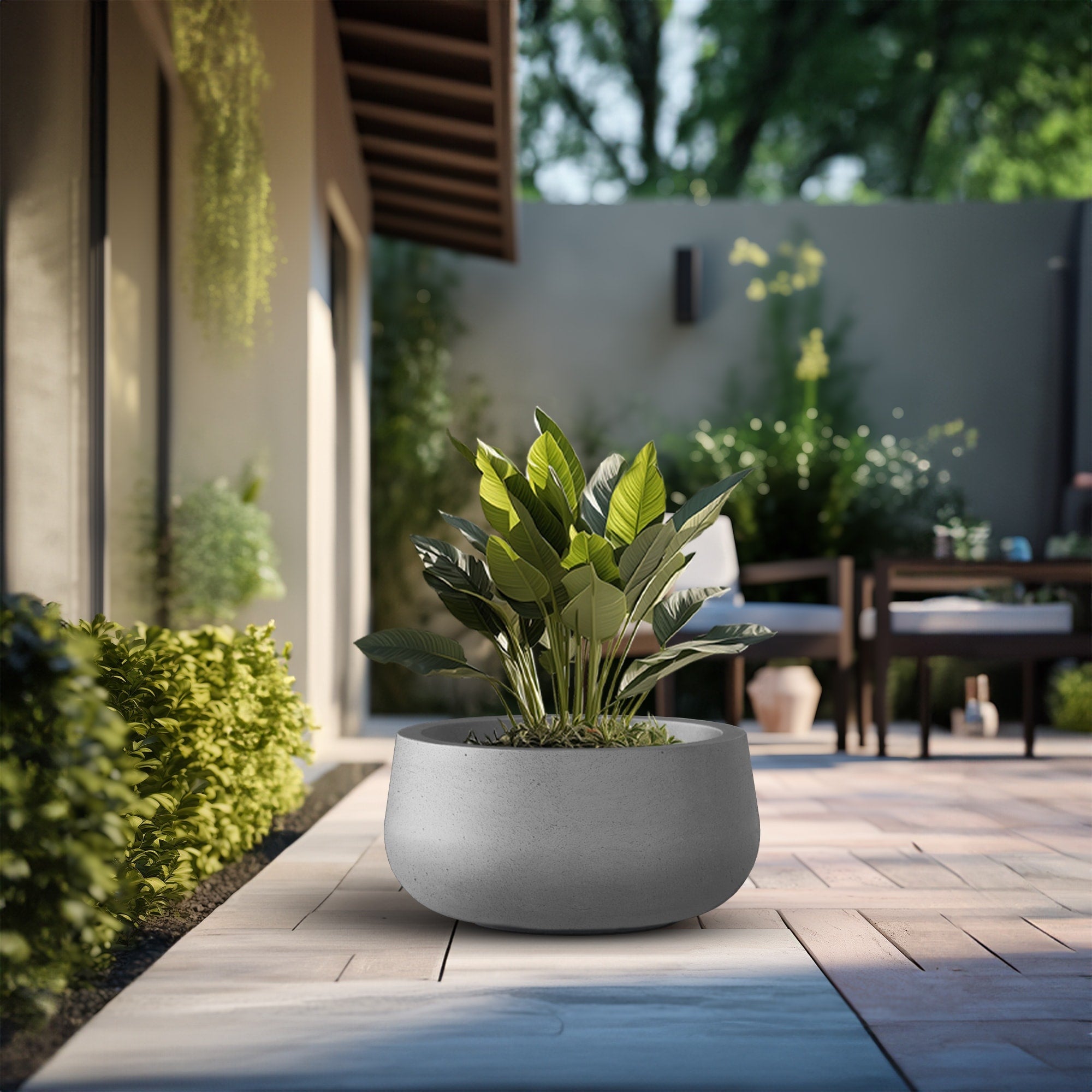 Tall Concrete Round Plant Pots / Large Indoor and Outdoor flower Planters