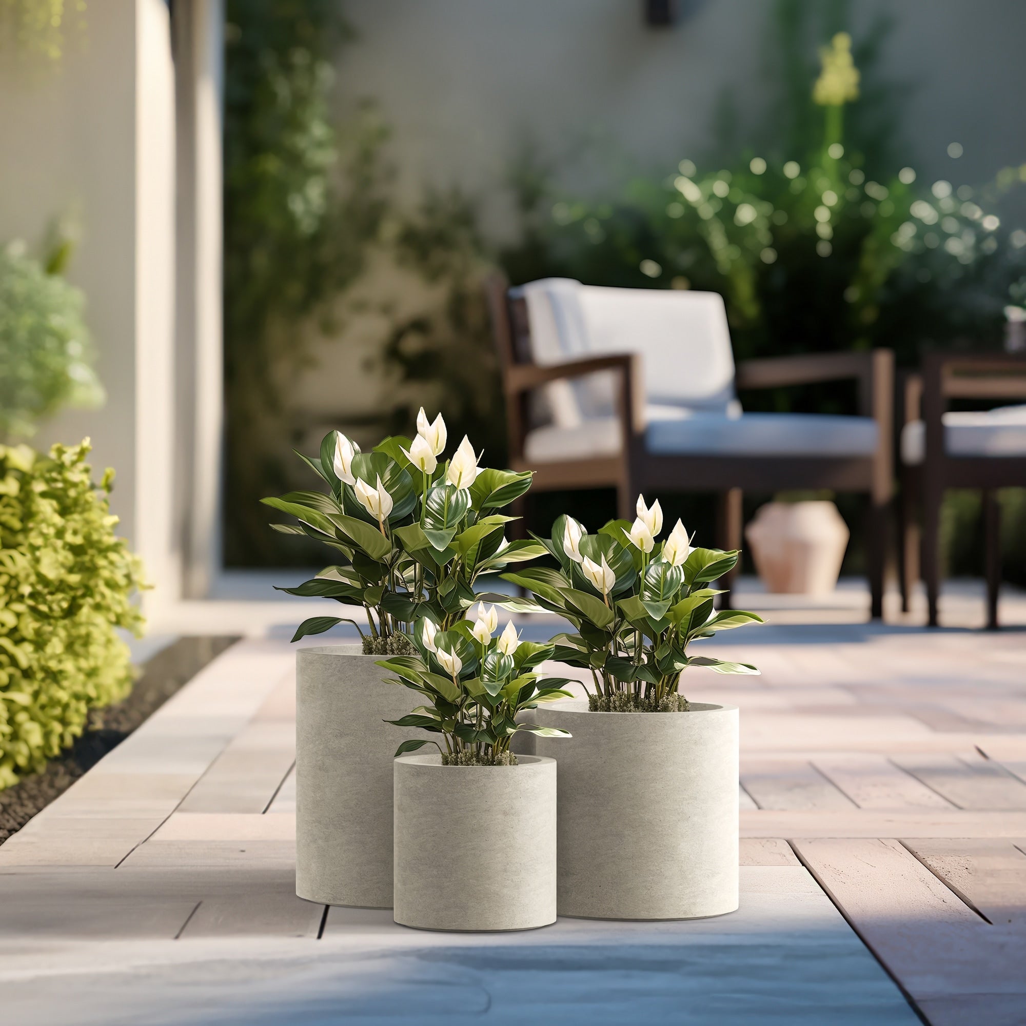 Tall Concrete Round Plant Pots / Large Indoor and Outdoor flower Planters