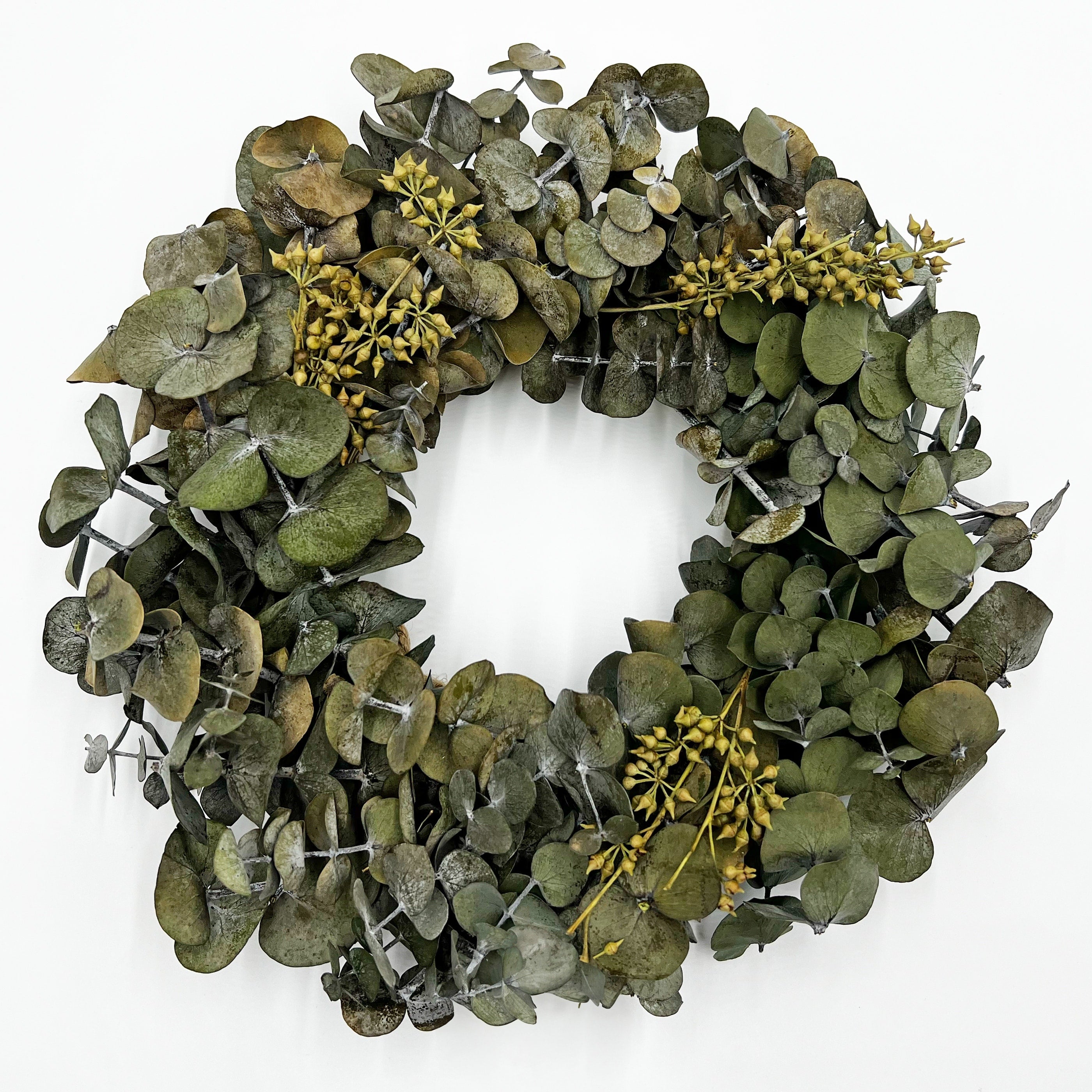 Preserved Decorative Real Dried Eucalyptus Wreath - Green