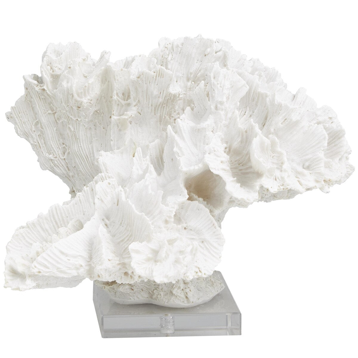 Polystone Coral Textured Decorative Sculpture with Clear Acrylic Base - White - Roche River Decor