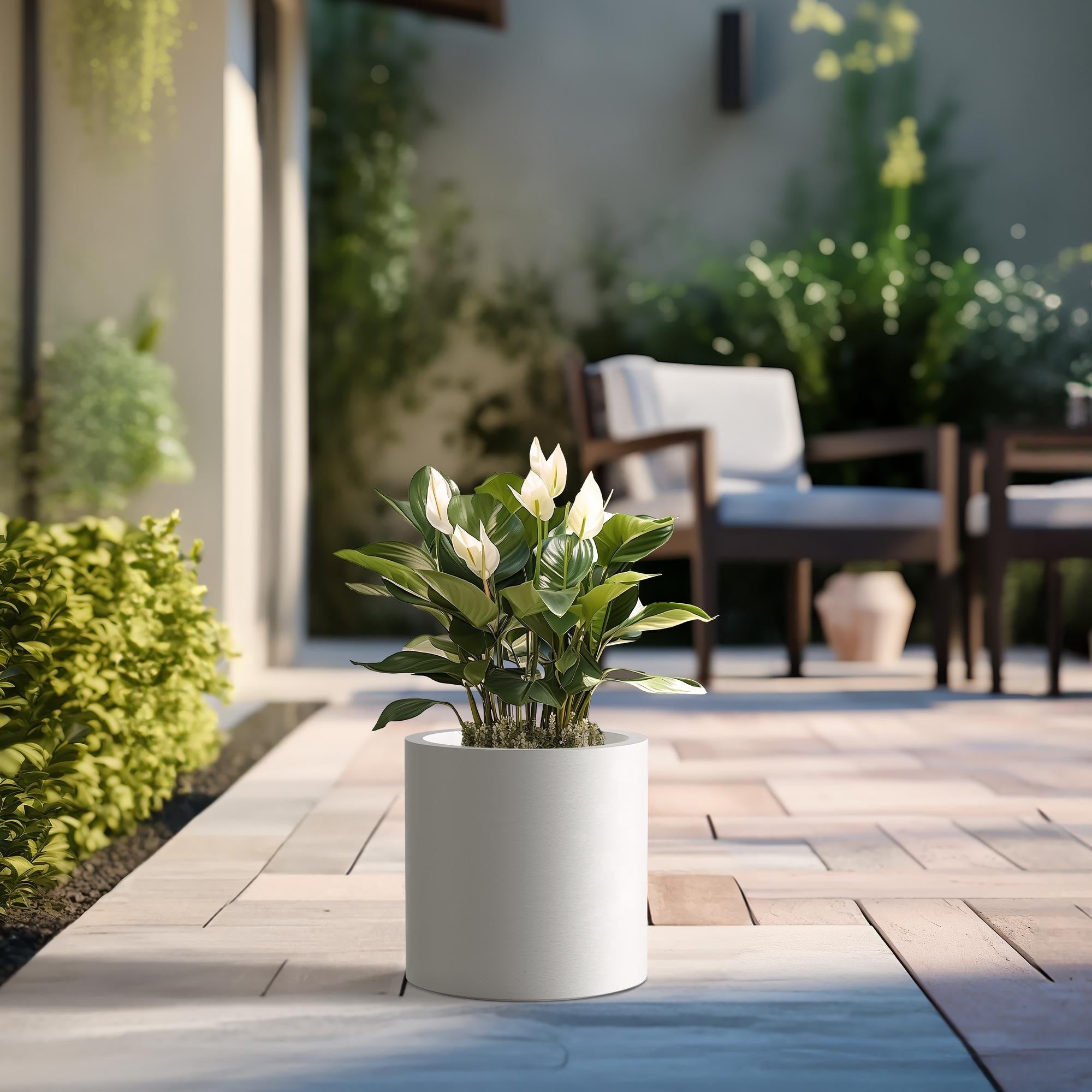 Tall Concrete Round Plant Pots / Large Indoor and Outdoor flower Planters