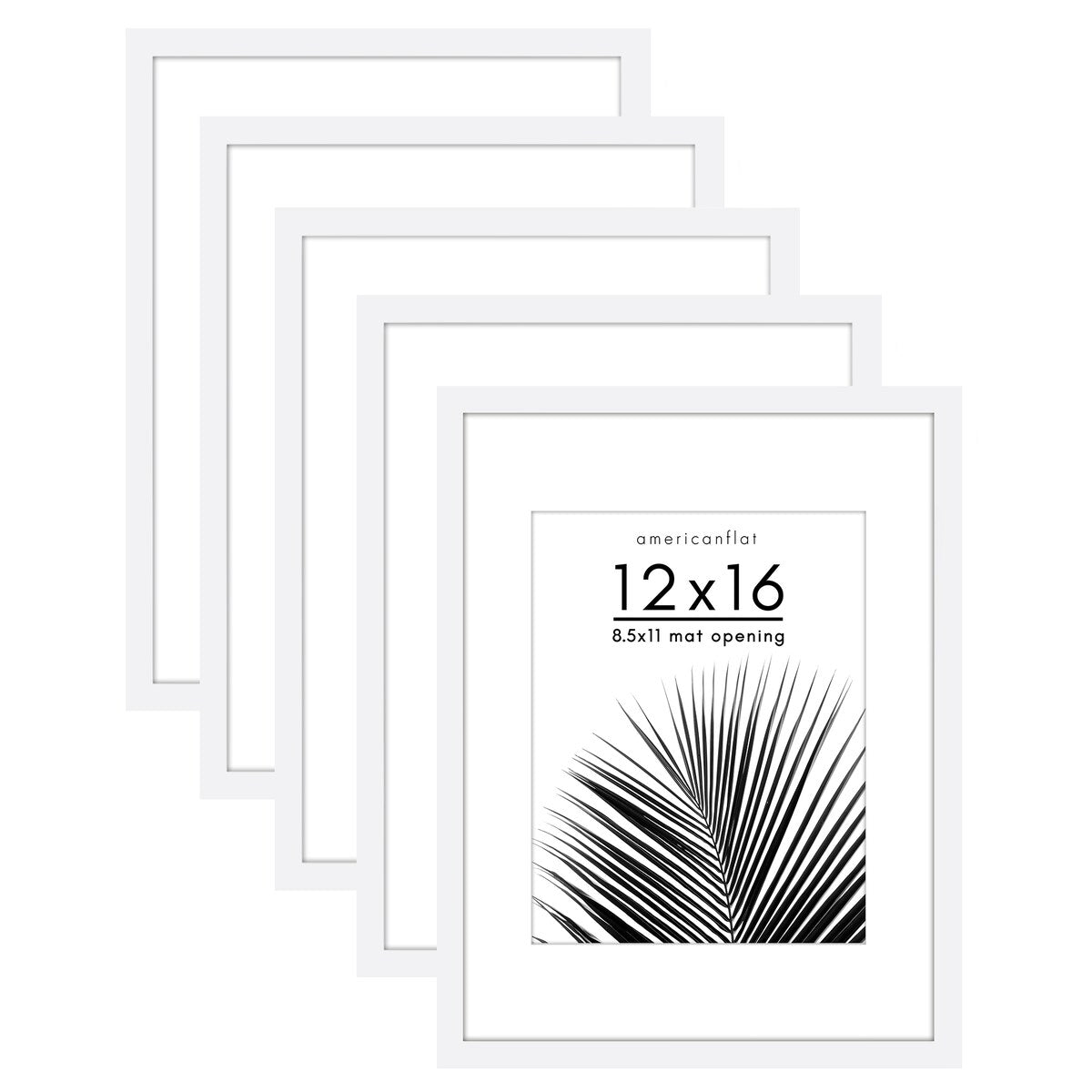 Americanflat 5 Pack of Picture Frames with Mat - Plexiglass Cover