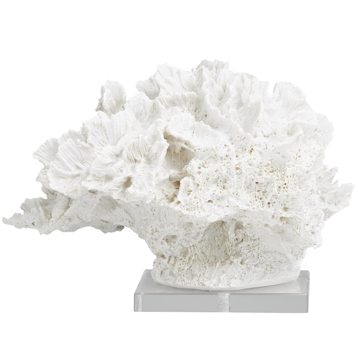 Polystone Coral Textured Decorative Sculpture with Clear Acrylic Base - White - Roche River Decor