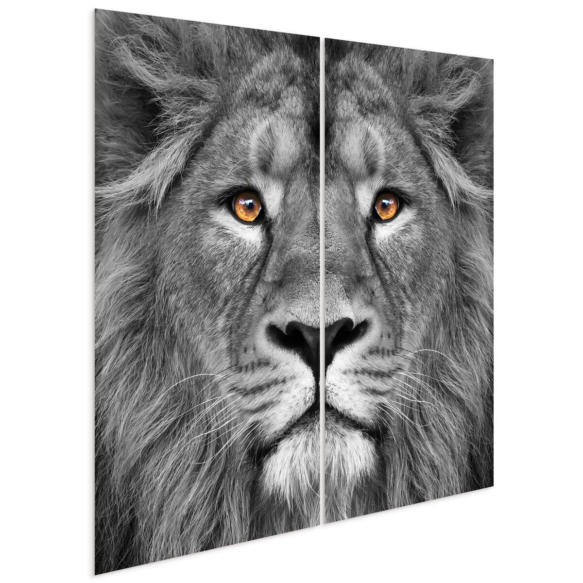 King of the Jungle AB Frameless Free Floating Tempered Glass Panel Graphic Wall Art