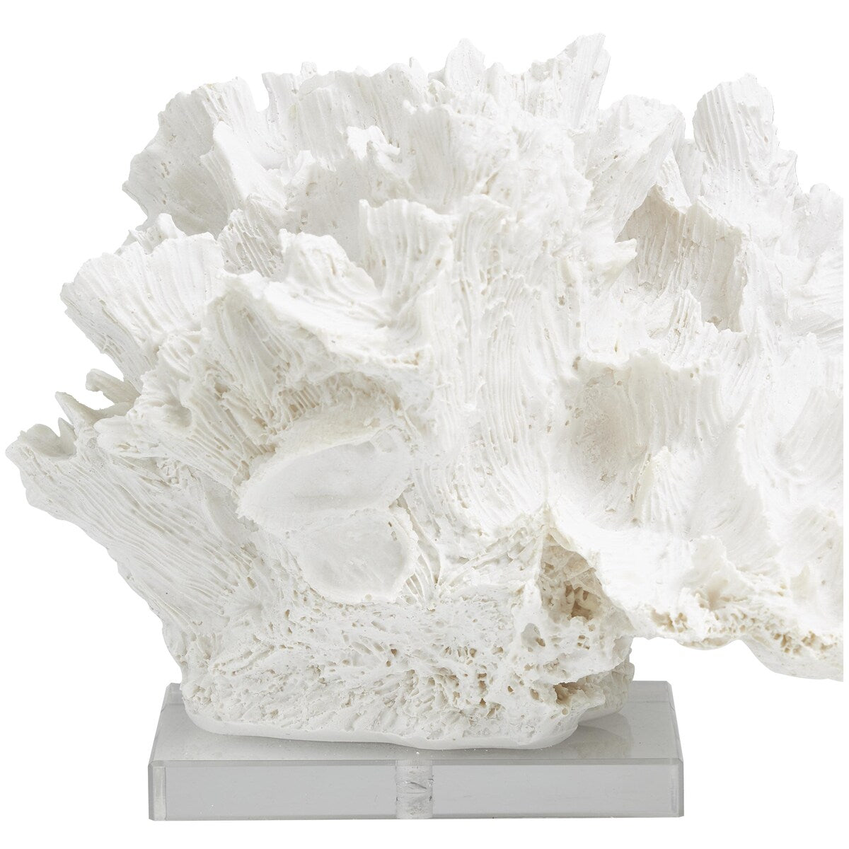 Polystone Coral Textured Decorative Sculpture with Clear Acrylic Base - White - Roche River Decor