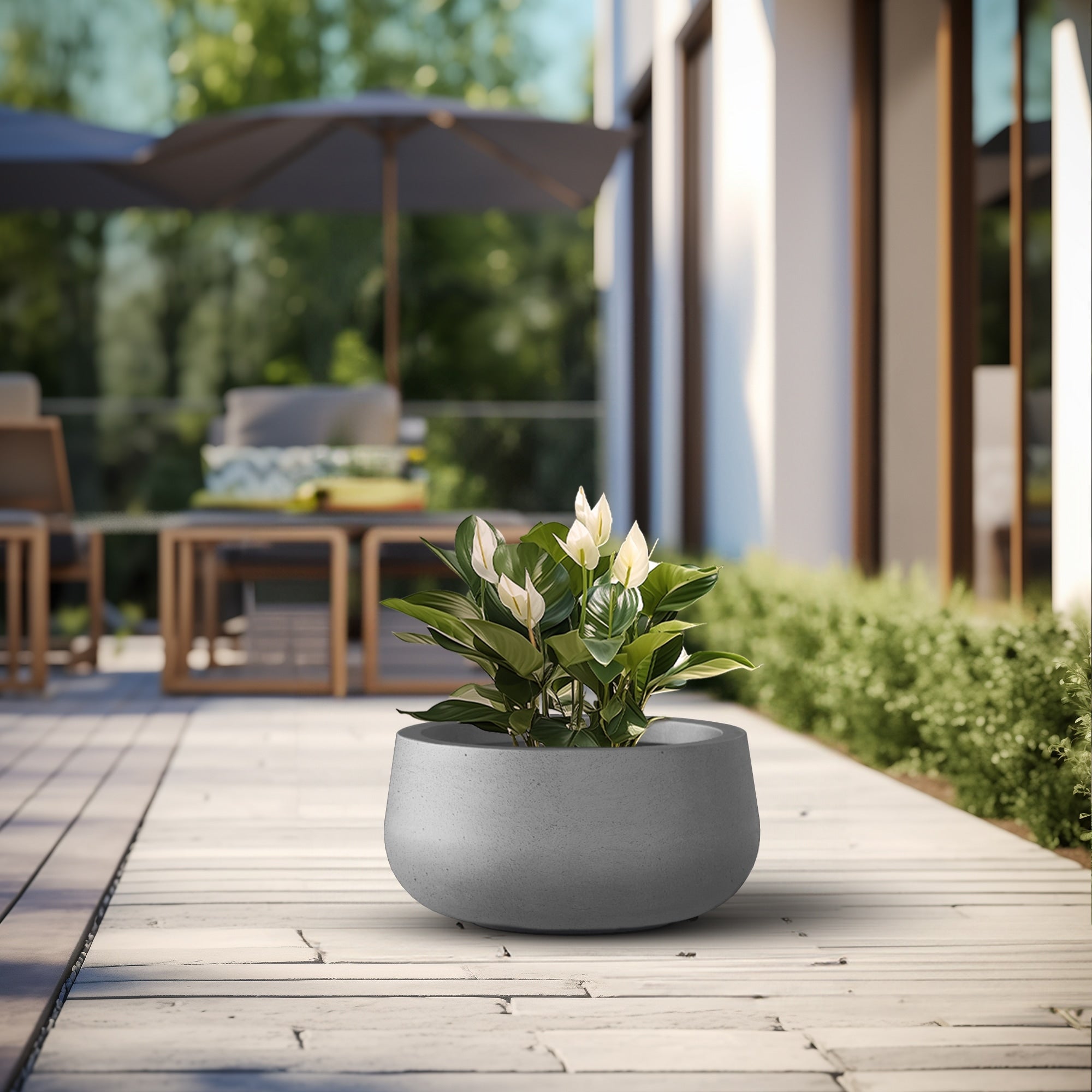 Tall Concrete Round Plant Pots / Large Indoor and Outdoor flower Planters