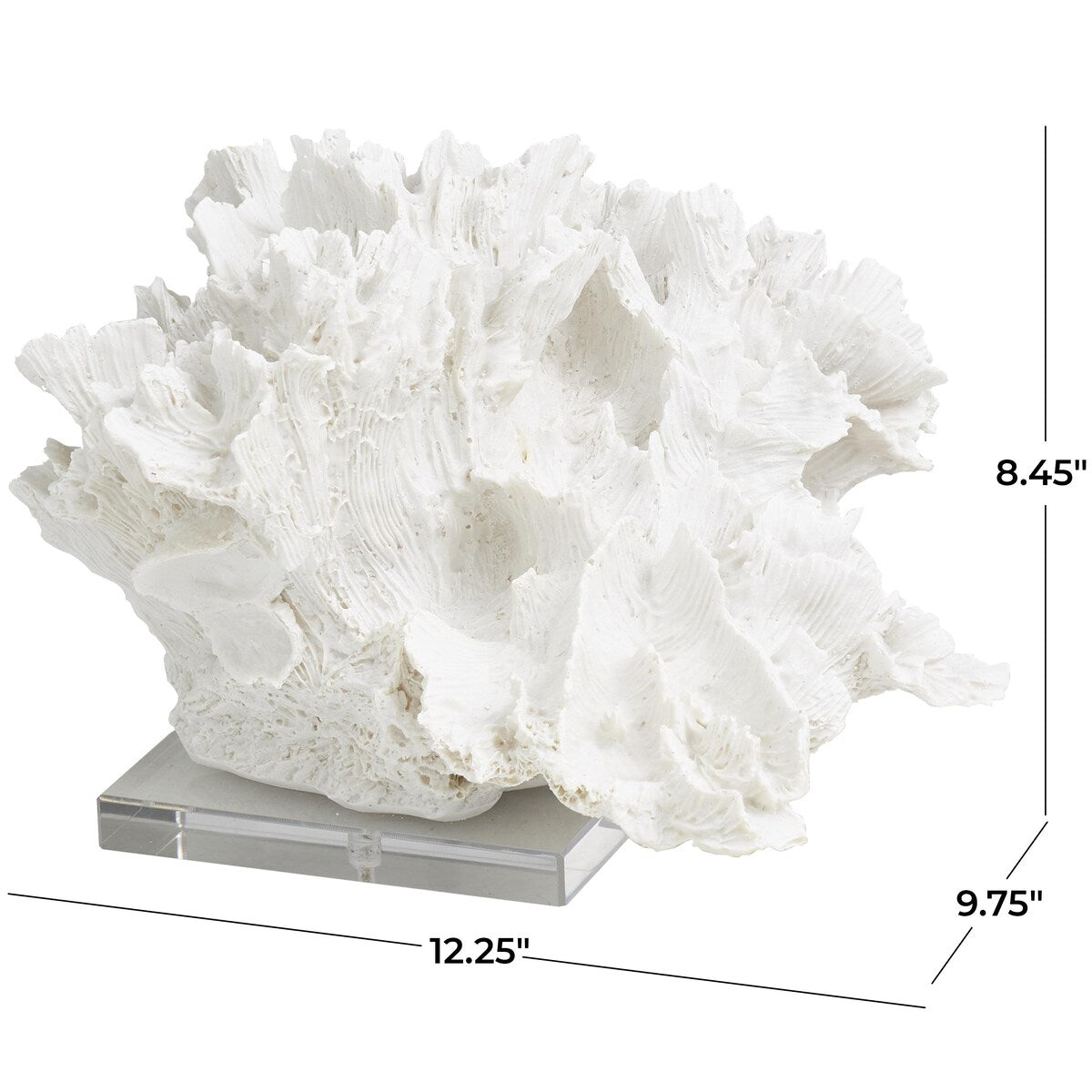 Polystone Coral Textured Decorative Sculpture with Clear Acrylic Base - White - Roche River Decor