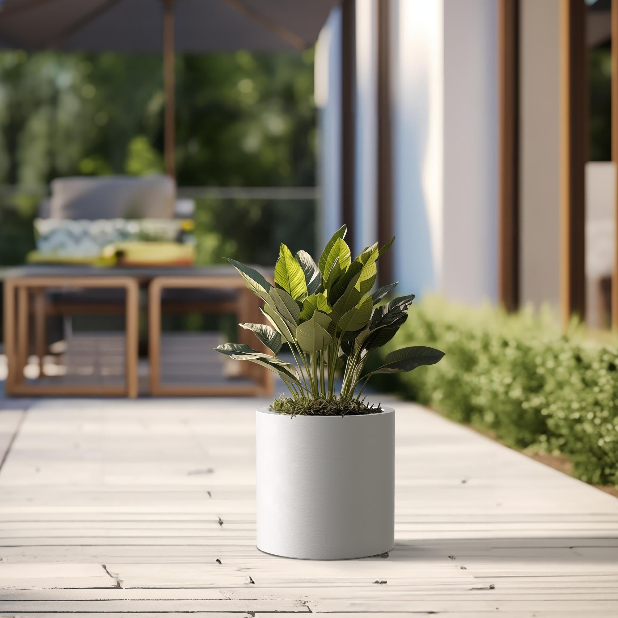 Tall Concrete Round Plant Pots / Large Indoor and Outdoor flower Planters