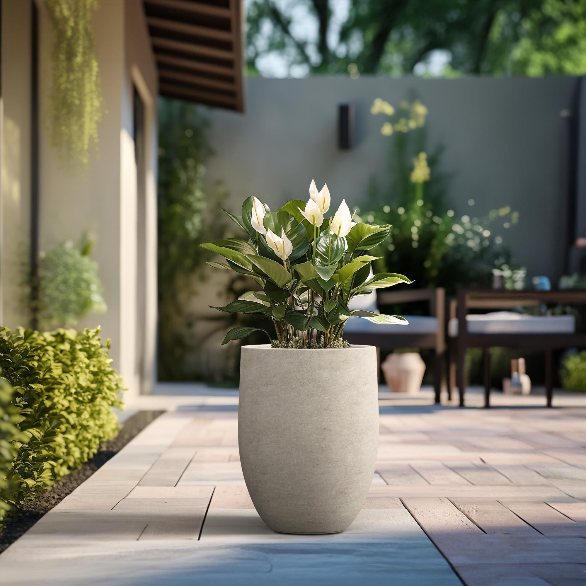 Tall Concrete Round Plant Pots / Large Indoor and Outdoor flower Planters