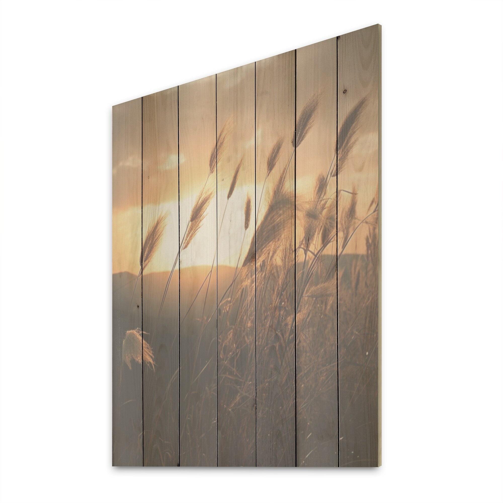 Designart Beachgrass In Motion At Sunset Herbs Wood Wall Decor - Traditional Beige Wood Panel On Natural Pine Wood