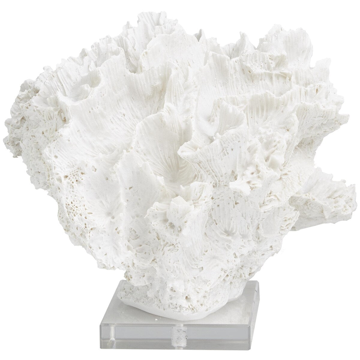 Polystone Coral Textured Decorative Sculpture with Clear Acrylic Base - White - Roche River Decor