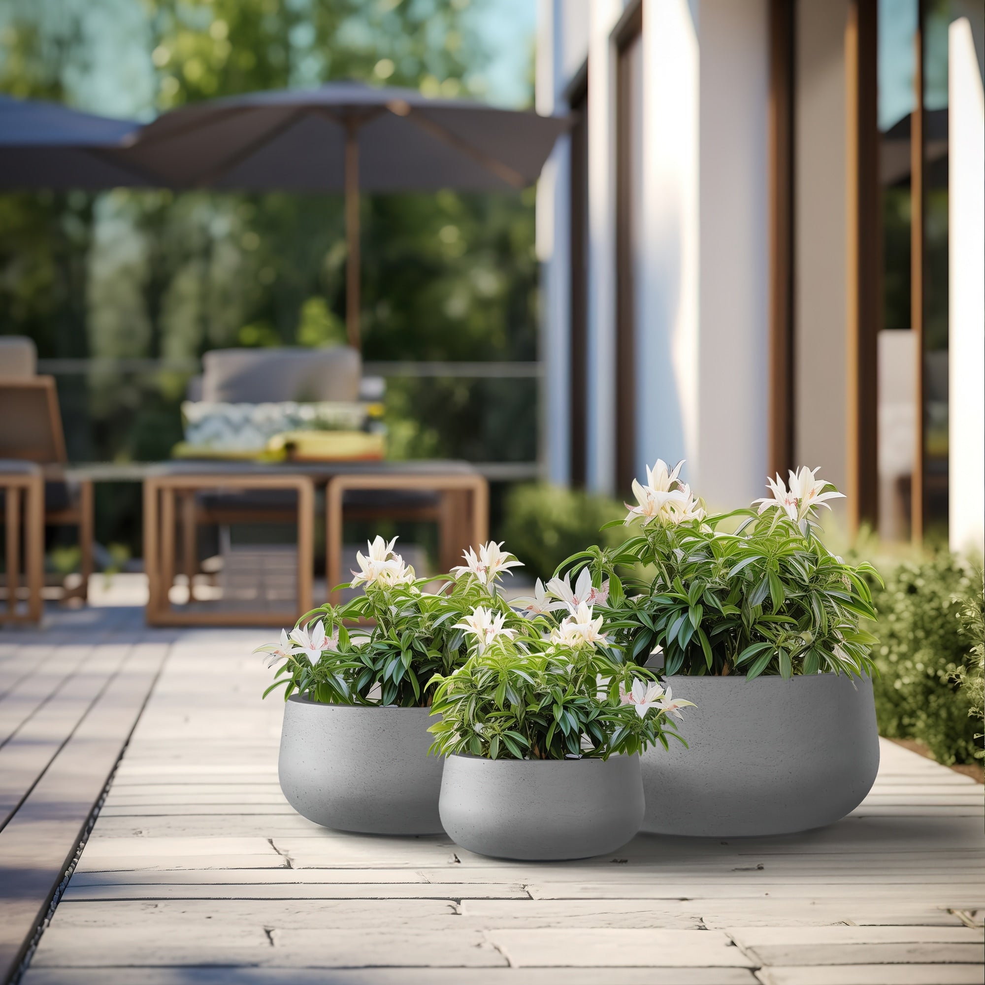 Tall Concrete Round Plant Pots / Large Indoor and Outdoor flower Planters