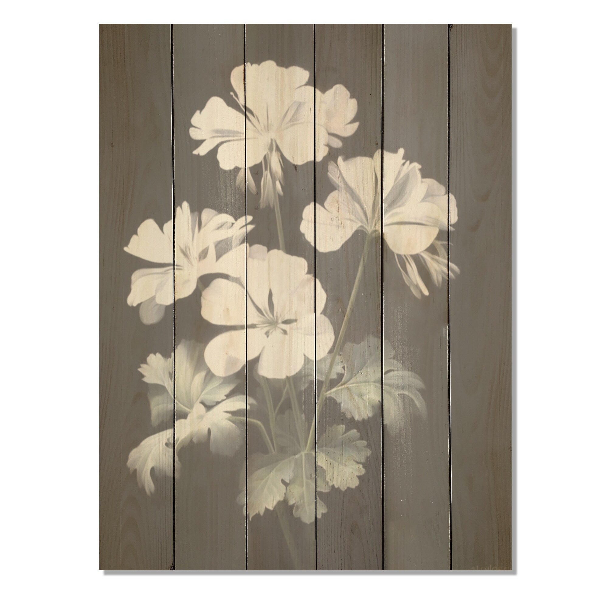 Designart Black And White Geranium Minimal Expression Geraniums Wall Art White Wood Panel On Natural Pine Wood