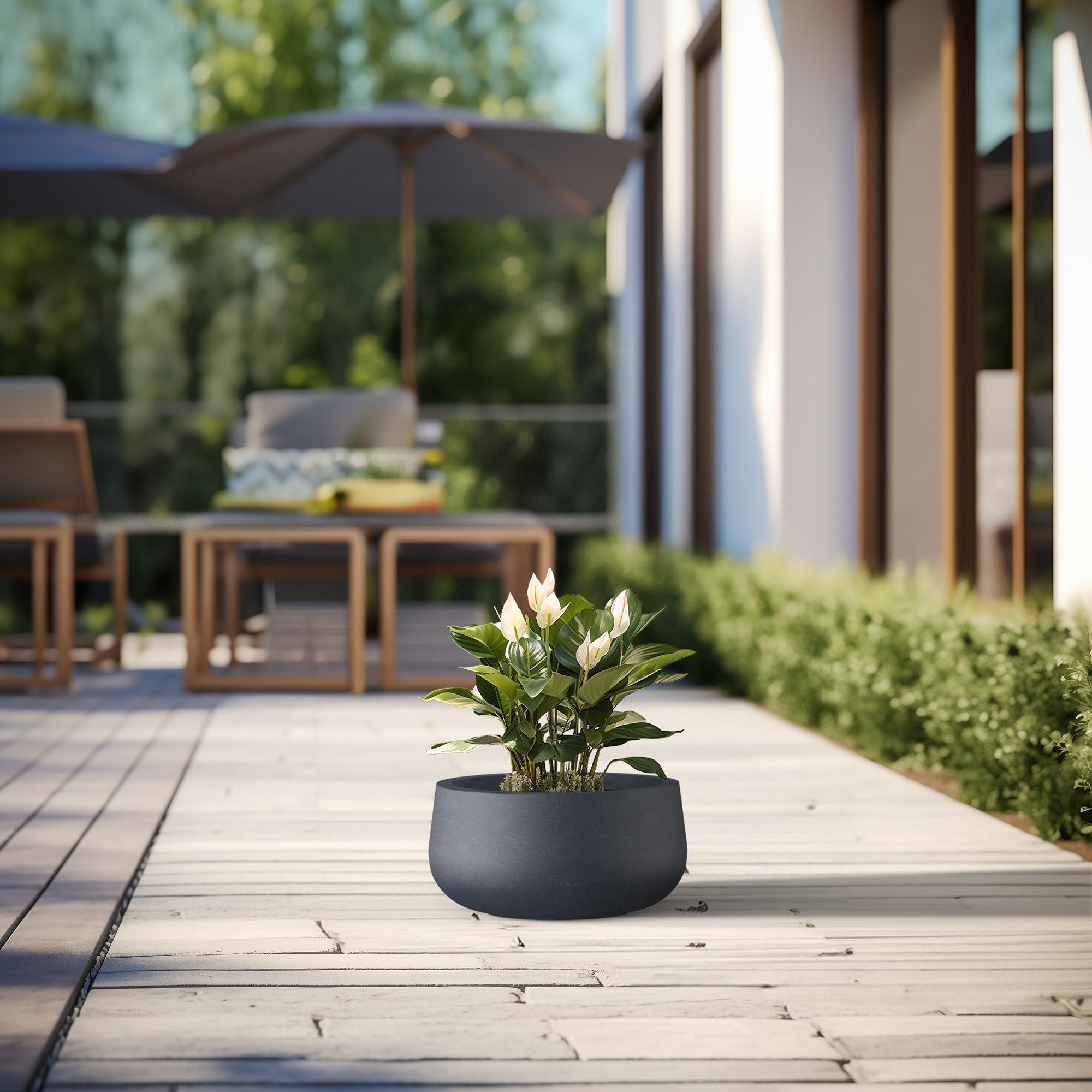 Tall Concrete Round Plant Pots / Large Indoor and Outdoor flower Planters