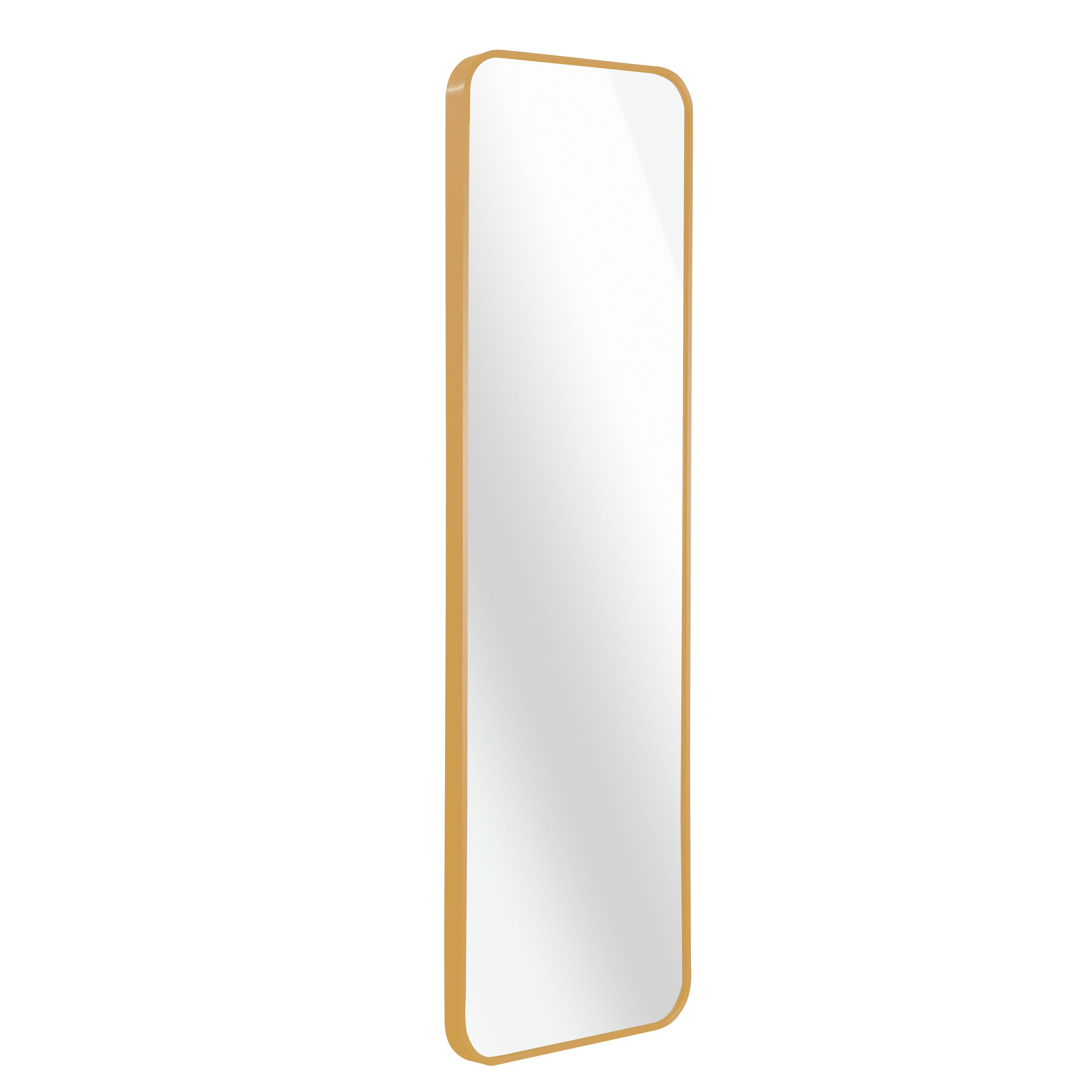 47 x 14 Door Mirror with Metal Frame