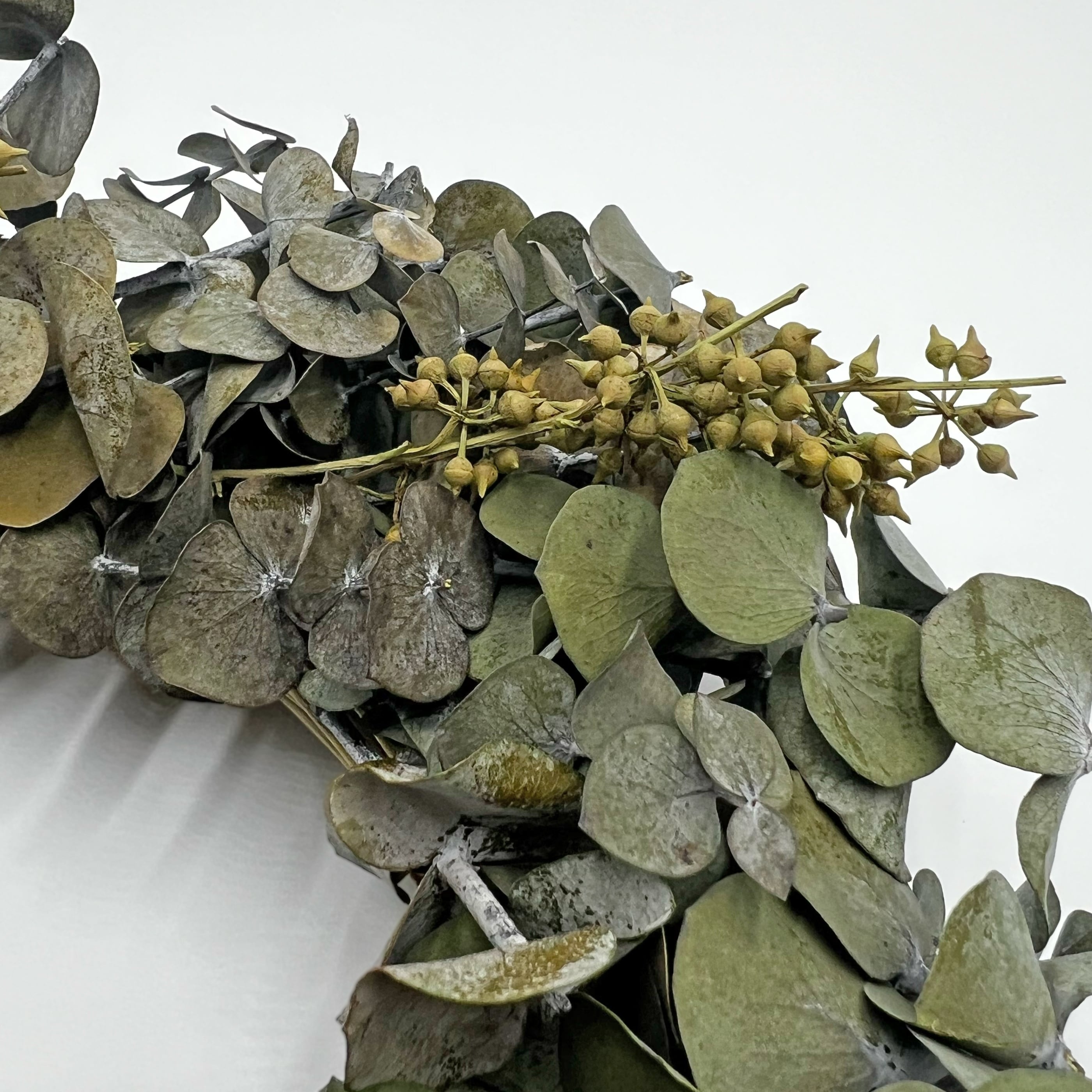 Preserved Decorative Real Dried Eucalyptus Wreath - Green