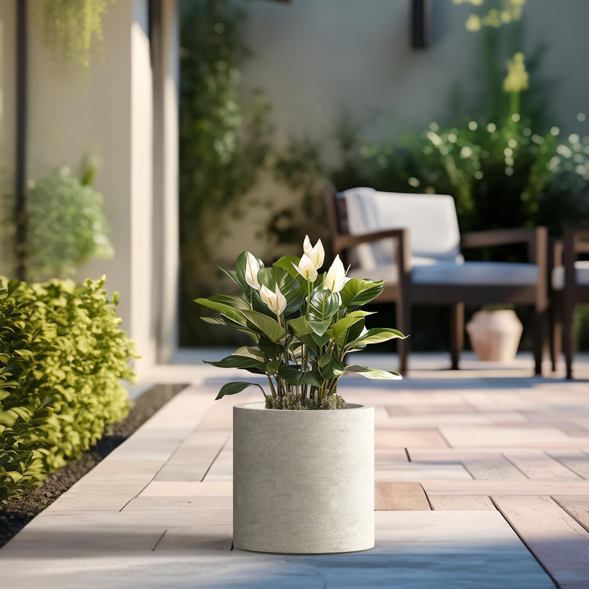 Tall Concrete Round Plant Pots / Large Indoor and Outdoor flower Planters