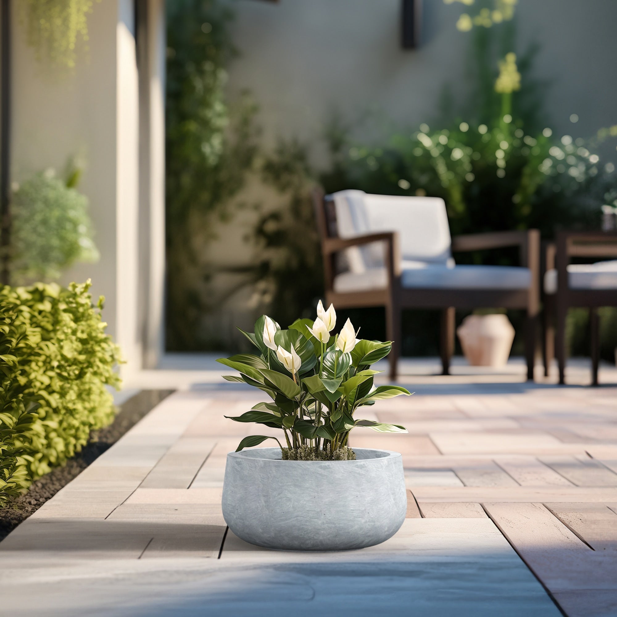 Tall Concrete Round Plant Pots / Large Indoor and Outdoor flower Planters