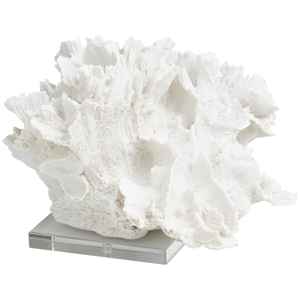 Polystone Coral Textured Decorative Sculpture with Clear Acrylic Base - White - Roche River Decor