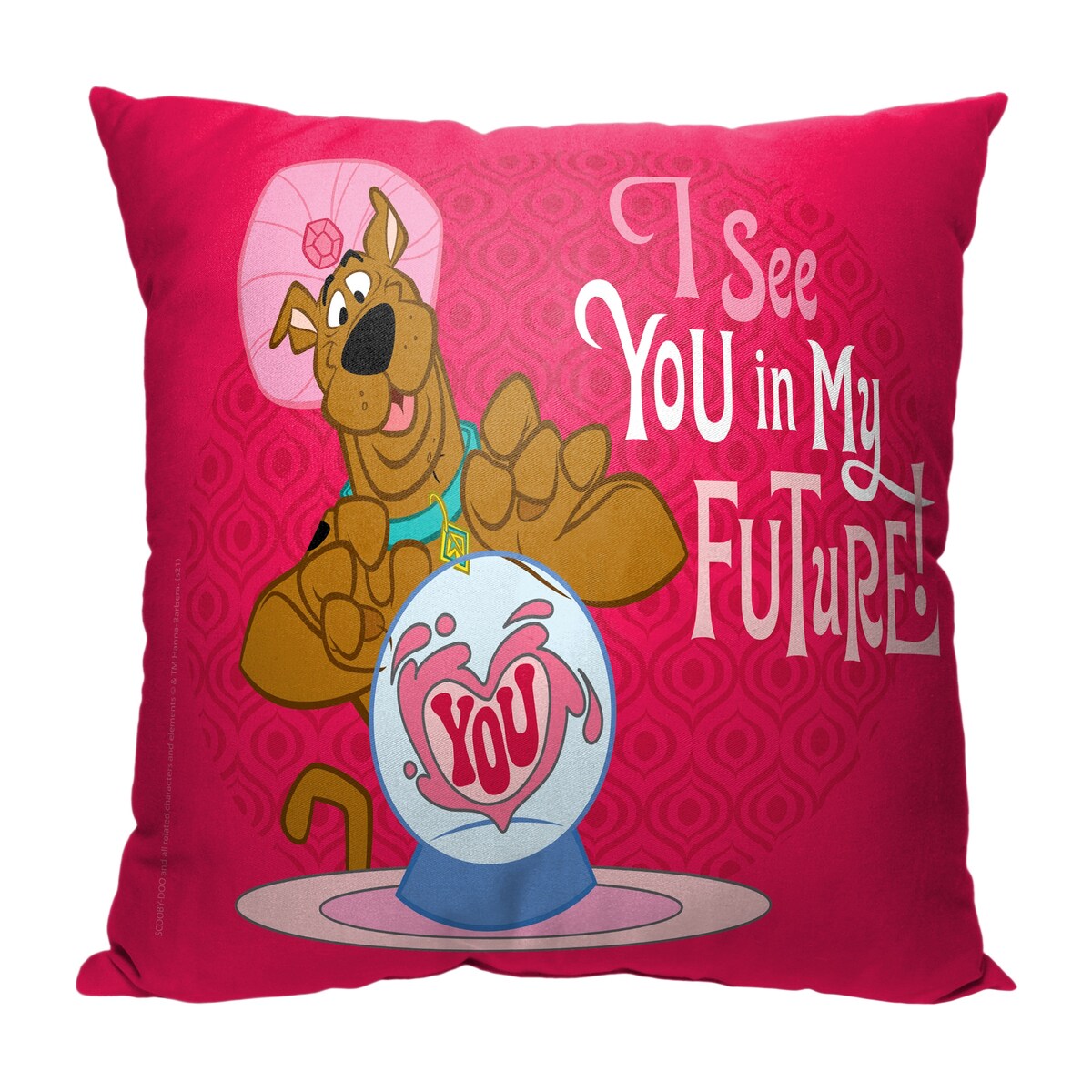 Warner Brothers Scooby Doo You In My Future 18 Inch Throw Pillow