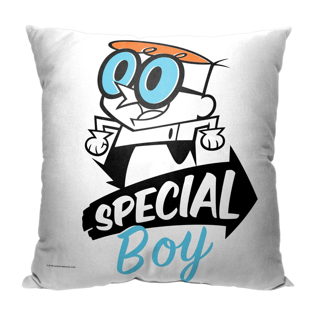 Cartoon Network Dexter's Lab Very Special Boy 18 Inch Throw Pillow