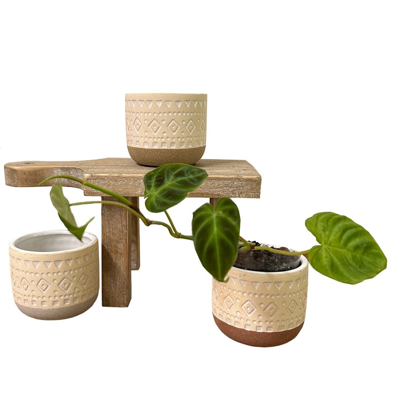 Set of 3 Modern 3 Ceramic Flower Plant Planters, Ceramic Pot Planter Indoor Ceramic, Decorative Planter