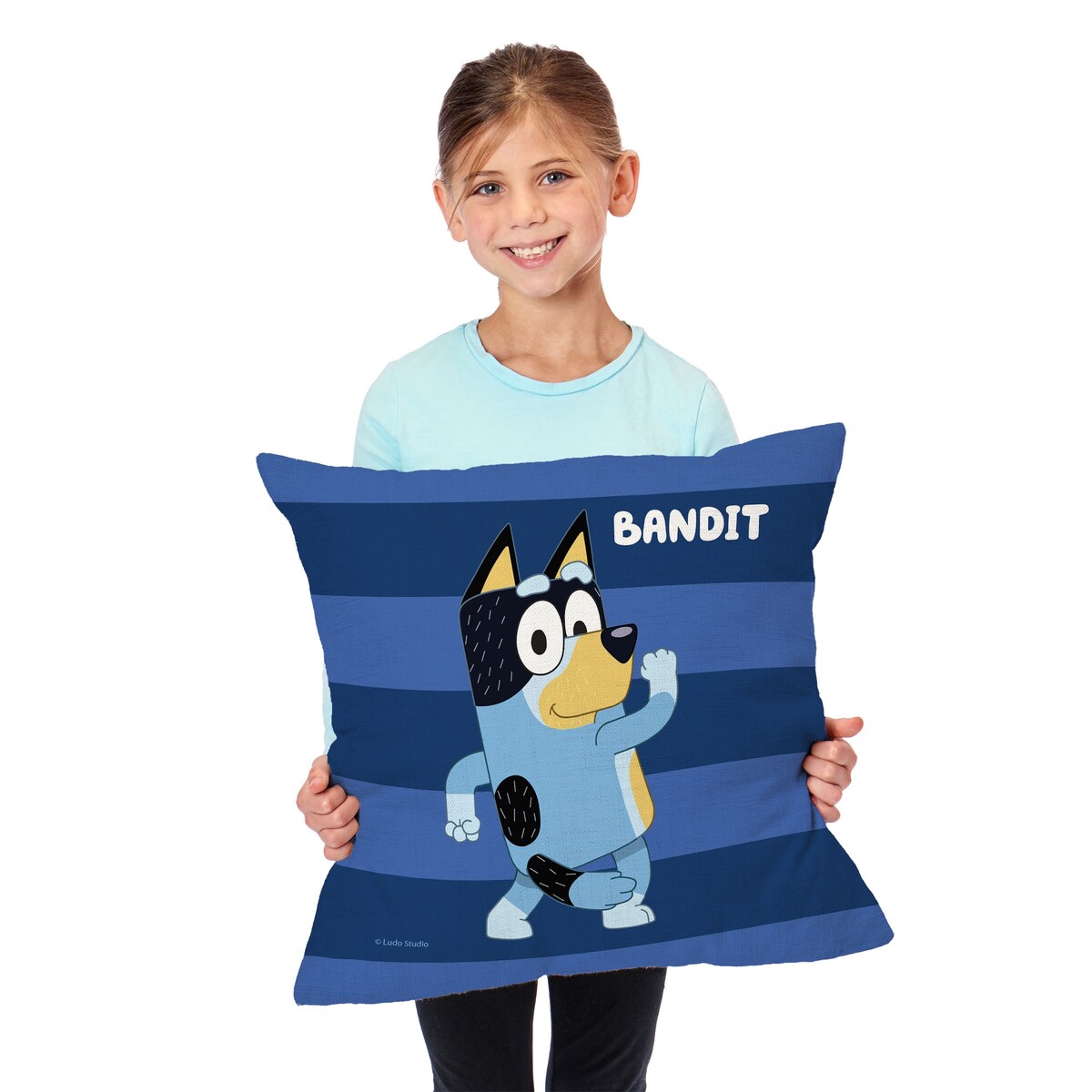 Bluey Roll Call Bandit Printed Throw Pillow - Blue