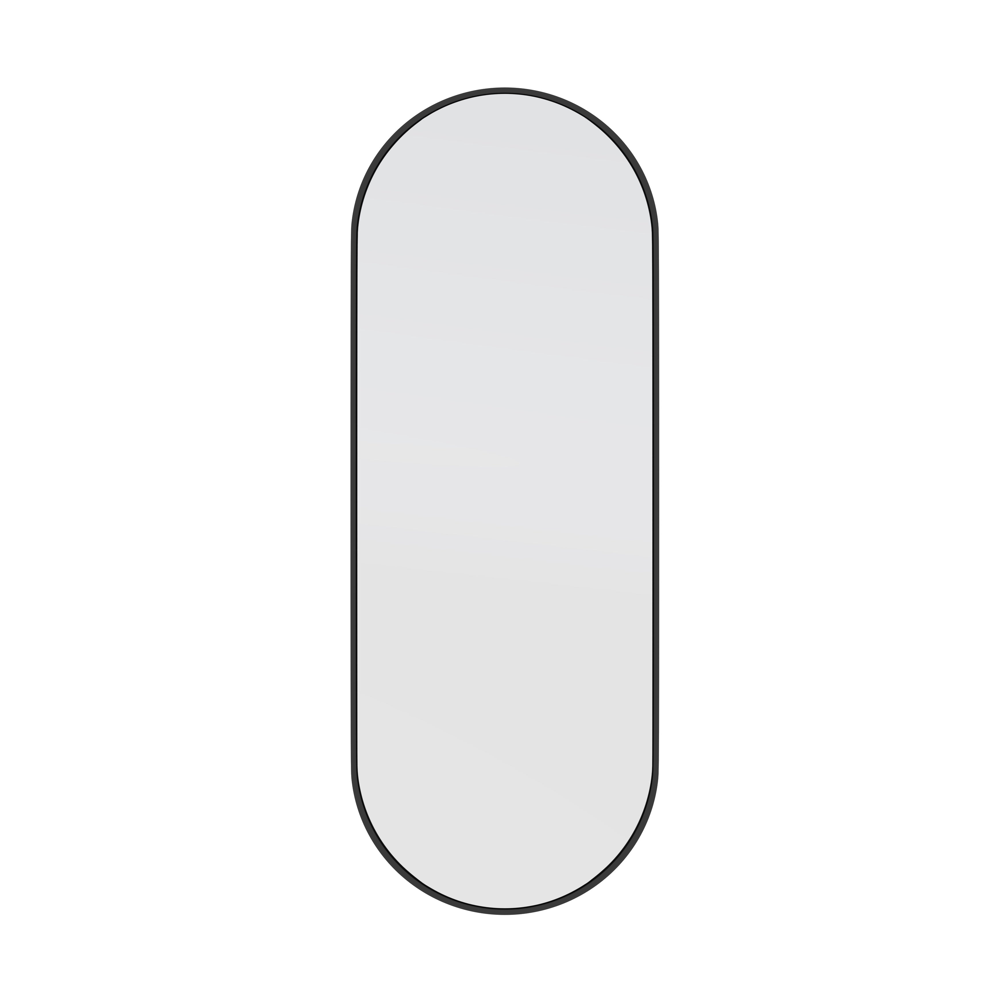 Glass Warehouse 60 in. H x 22 in. W Pill Shape Stainless Steel Framed Mirror