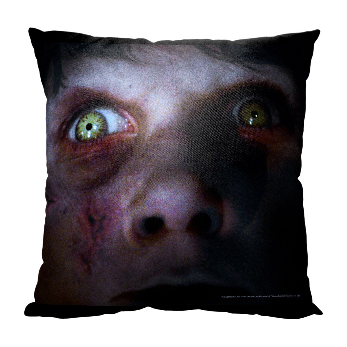 Warner Brothers Horror Exocrist A Demon's Eyes 18 Inch Throw Pillow