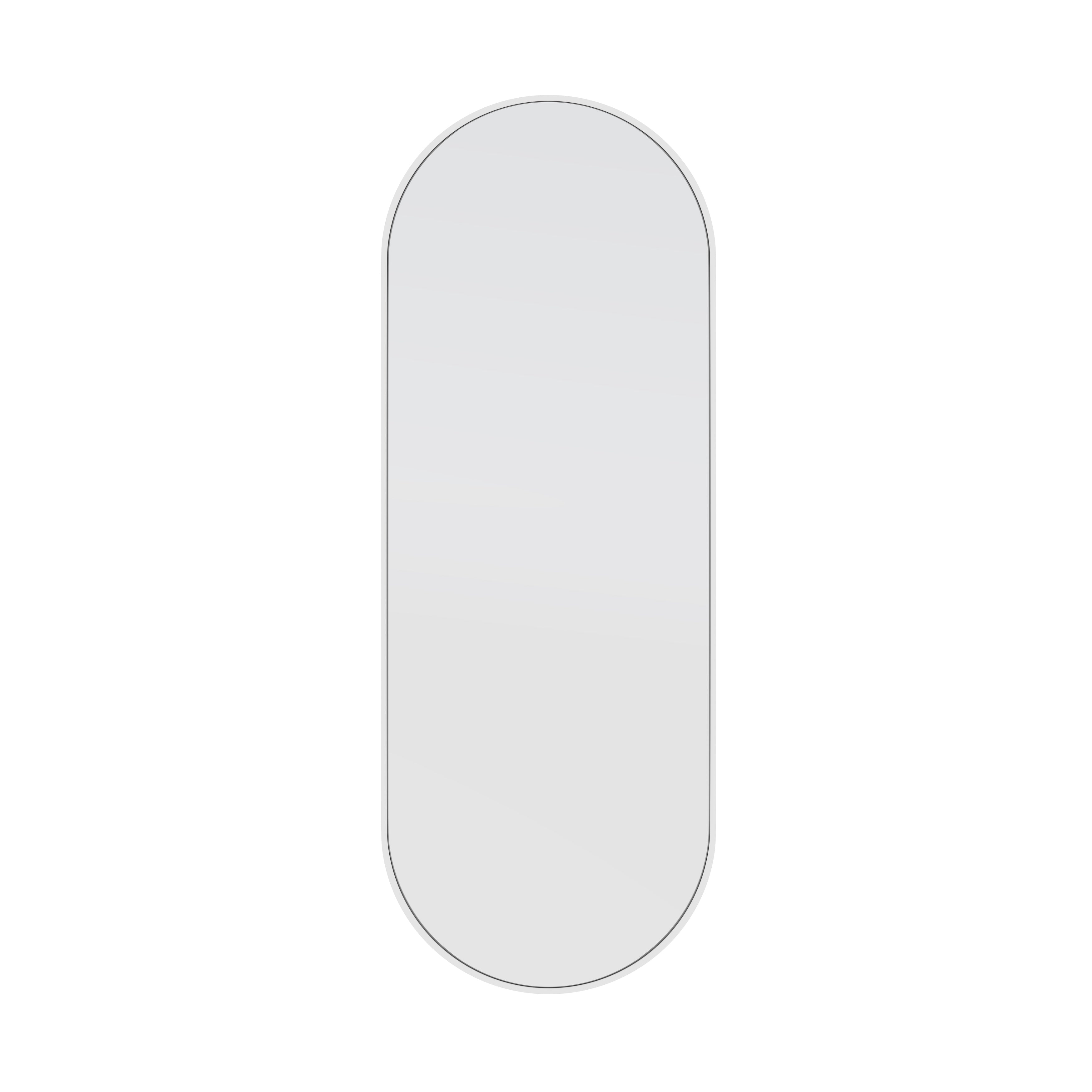 Glass Warehouse 60 in. H x 22 in. W Pill Shape Stainless Steel Framed Mirror